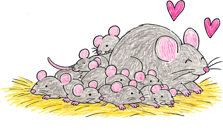 Andrew's pet mouse just had fifteen babies.