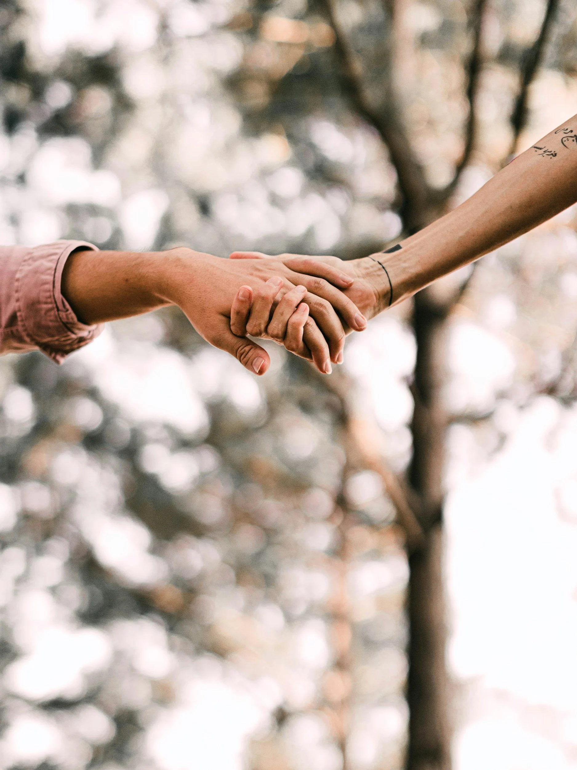 Two people holding hands, one person's hand lace-up sleeve visible, the other person's arm with tattoos and a bracelet, blurred background of trees and sky.