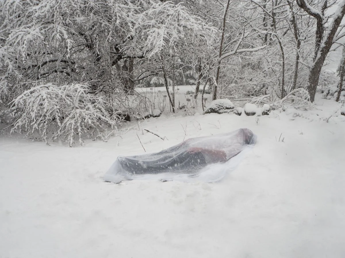 Shrouded.jpg