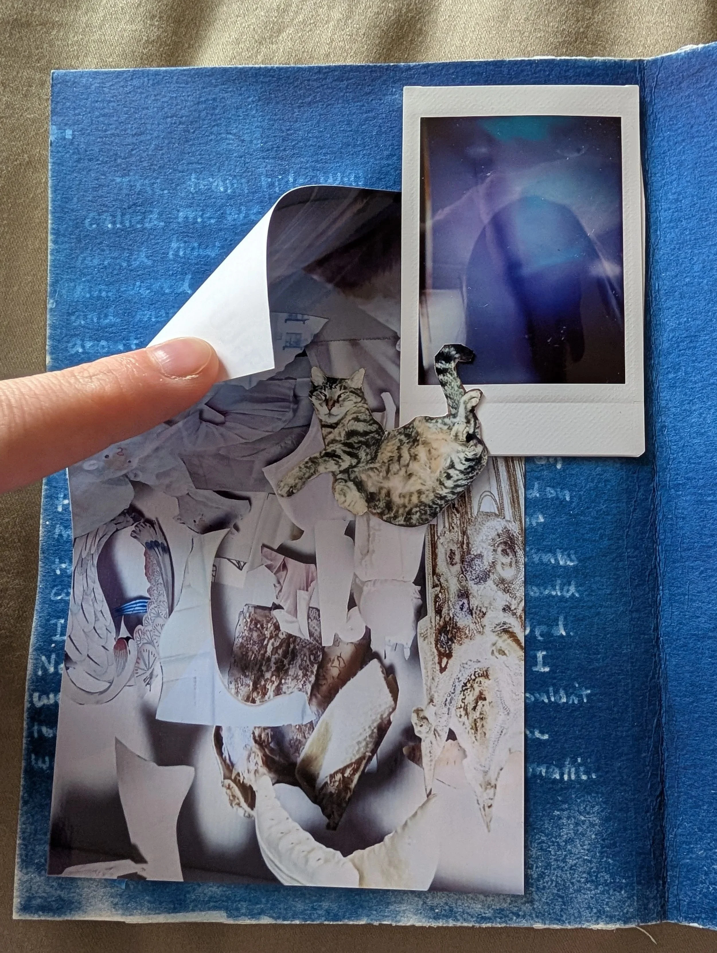 PXL_20260904_172004266.jpg