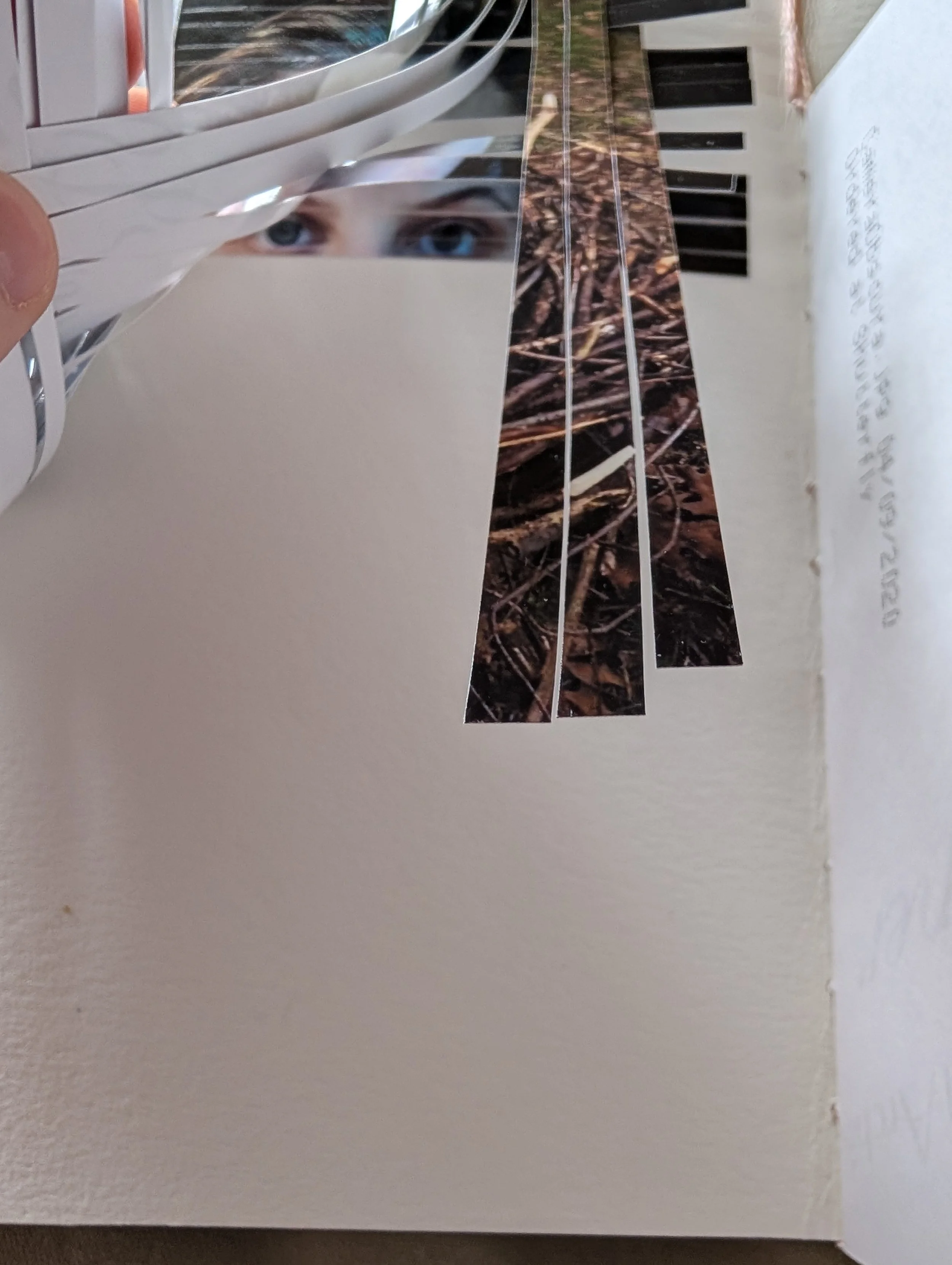 PXL_20260904_171747607.MP.jpg