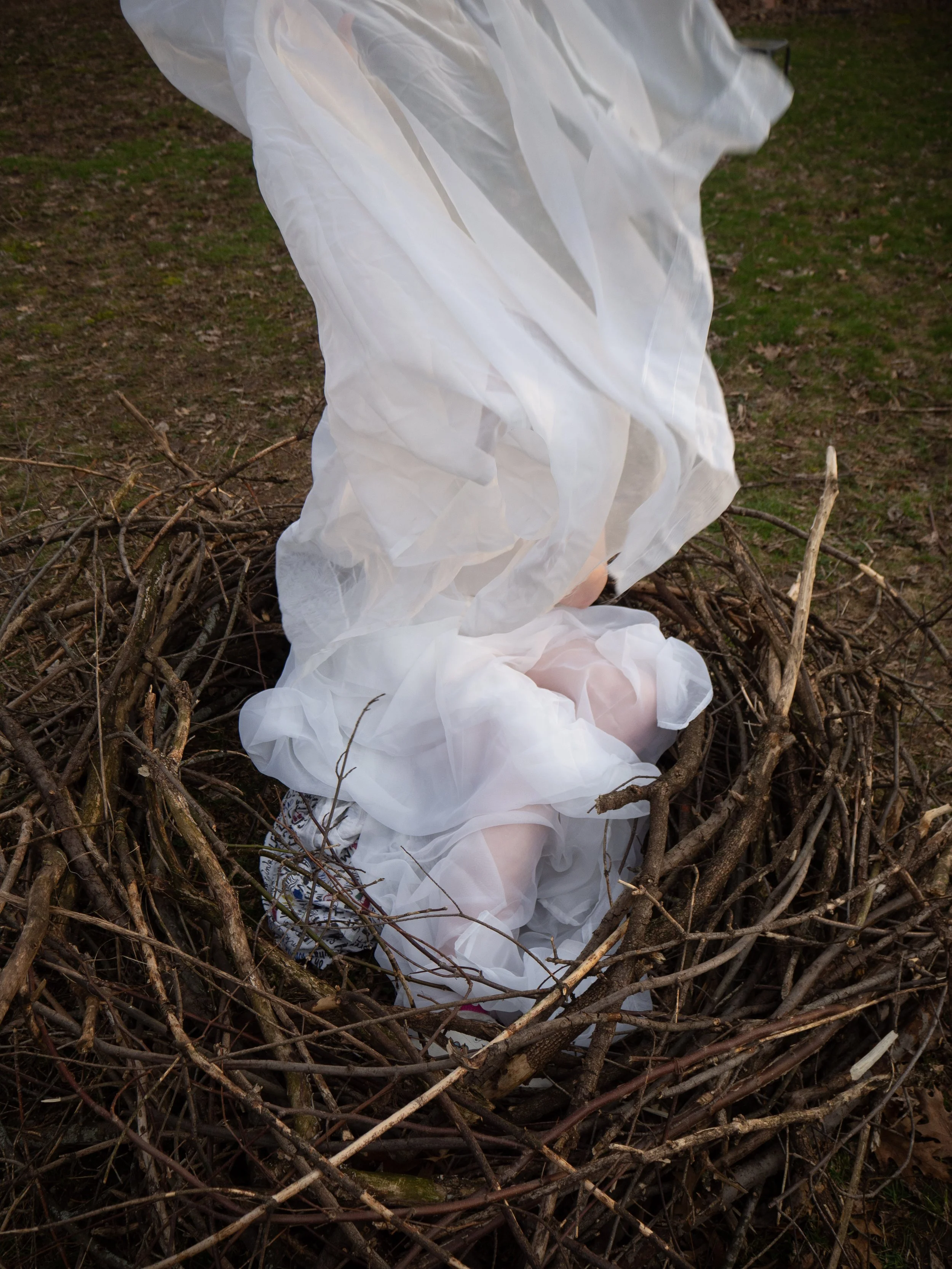 Ascension, Seen at Fulton Street Gallery, Krannert Art Museum, The Bloc Gallery