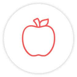 Outline illustration of an apple on a white background with a black border.