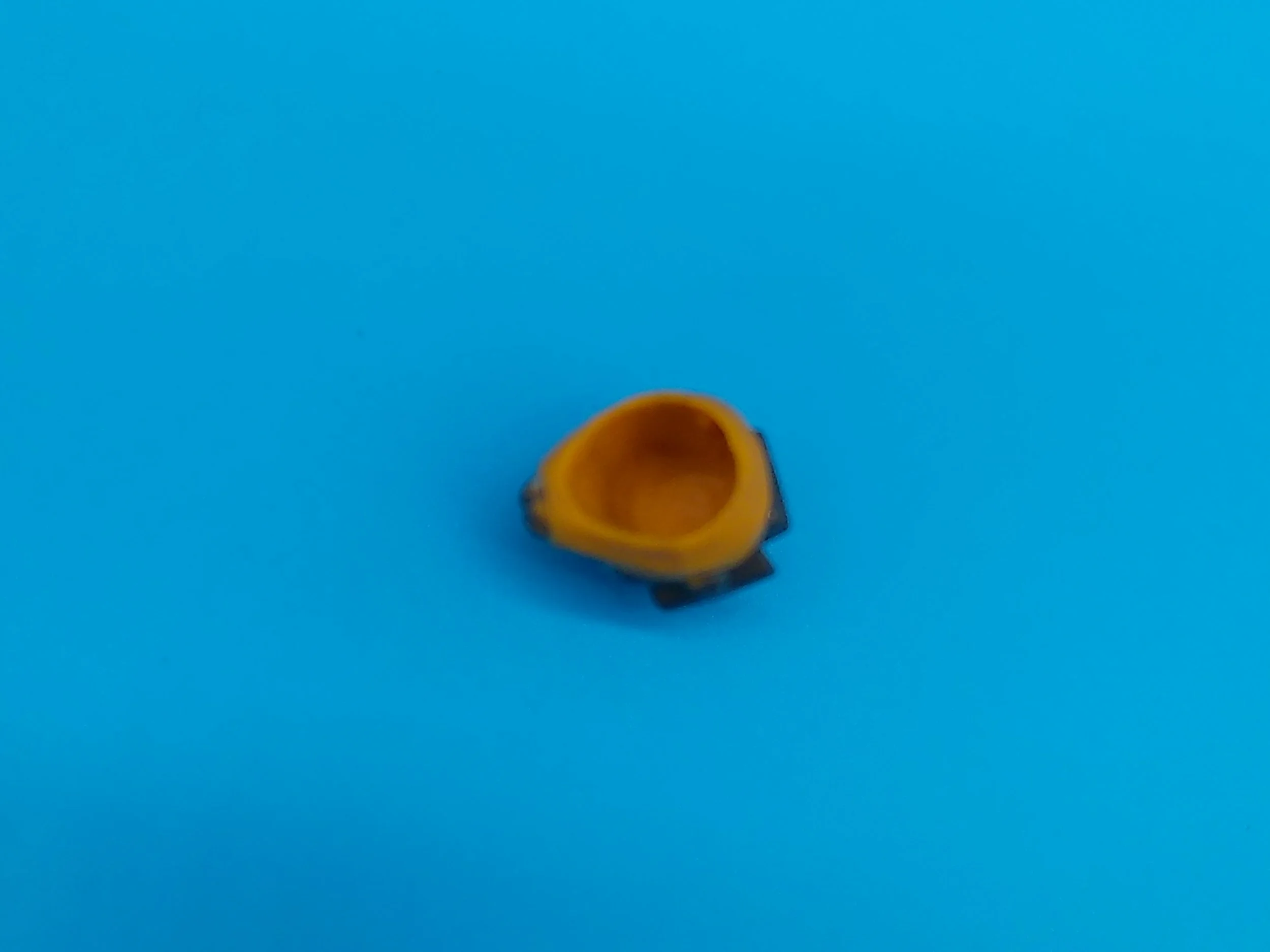 20240604_012216.JPG