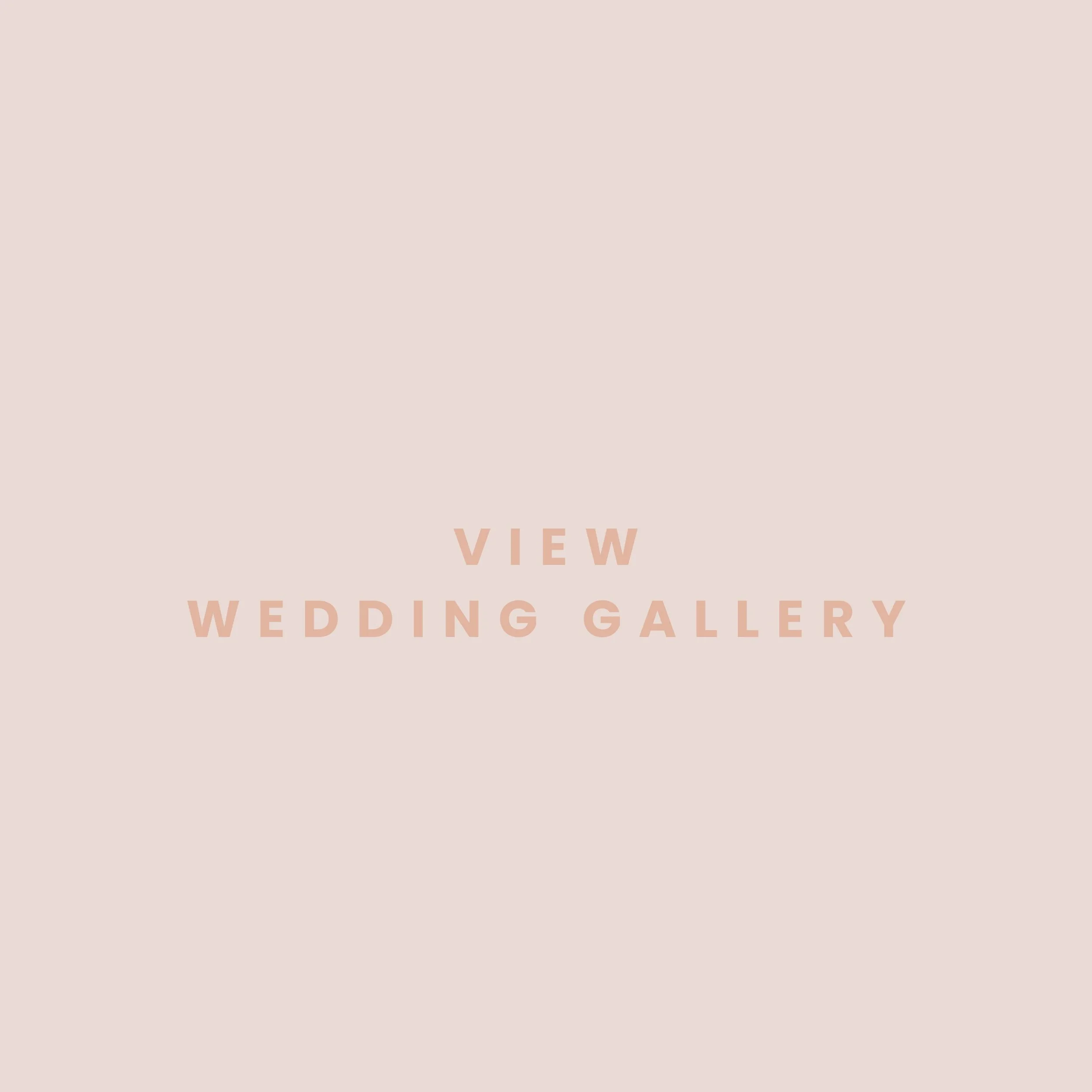 viewgallery-website-asset.jpg