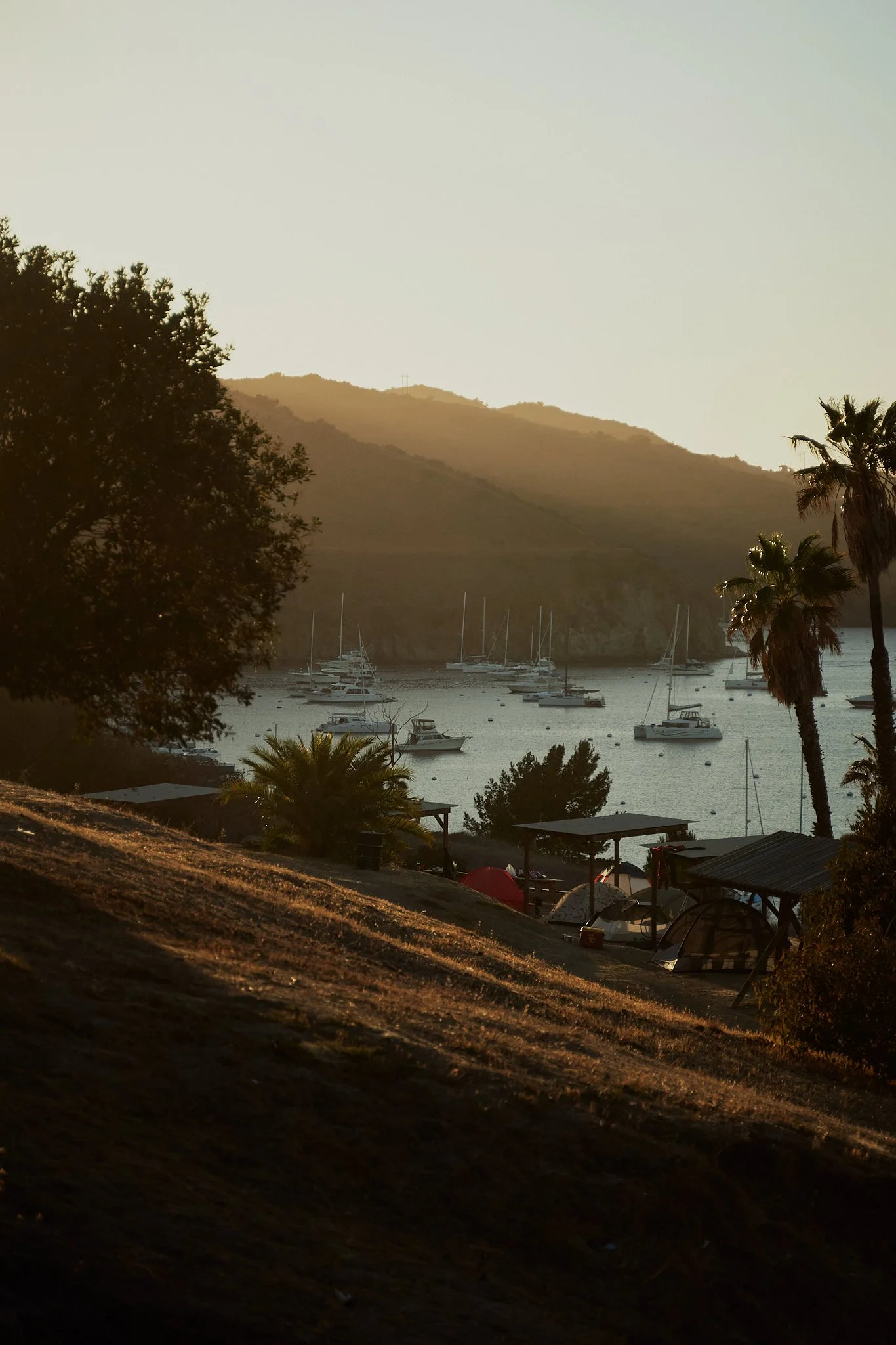 Sunset over a marina with several sailboats docked, surrounding trees, palm trees, and hills in the background.