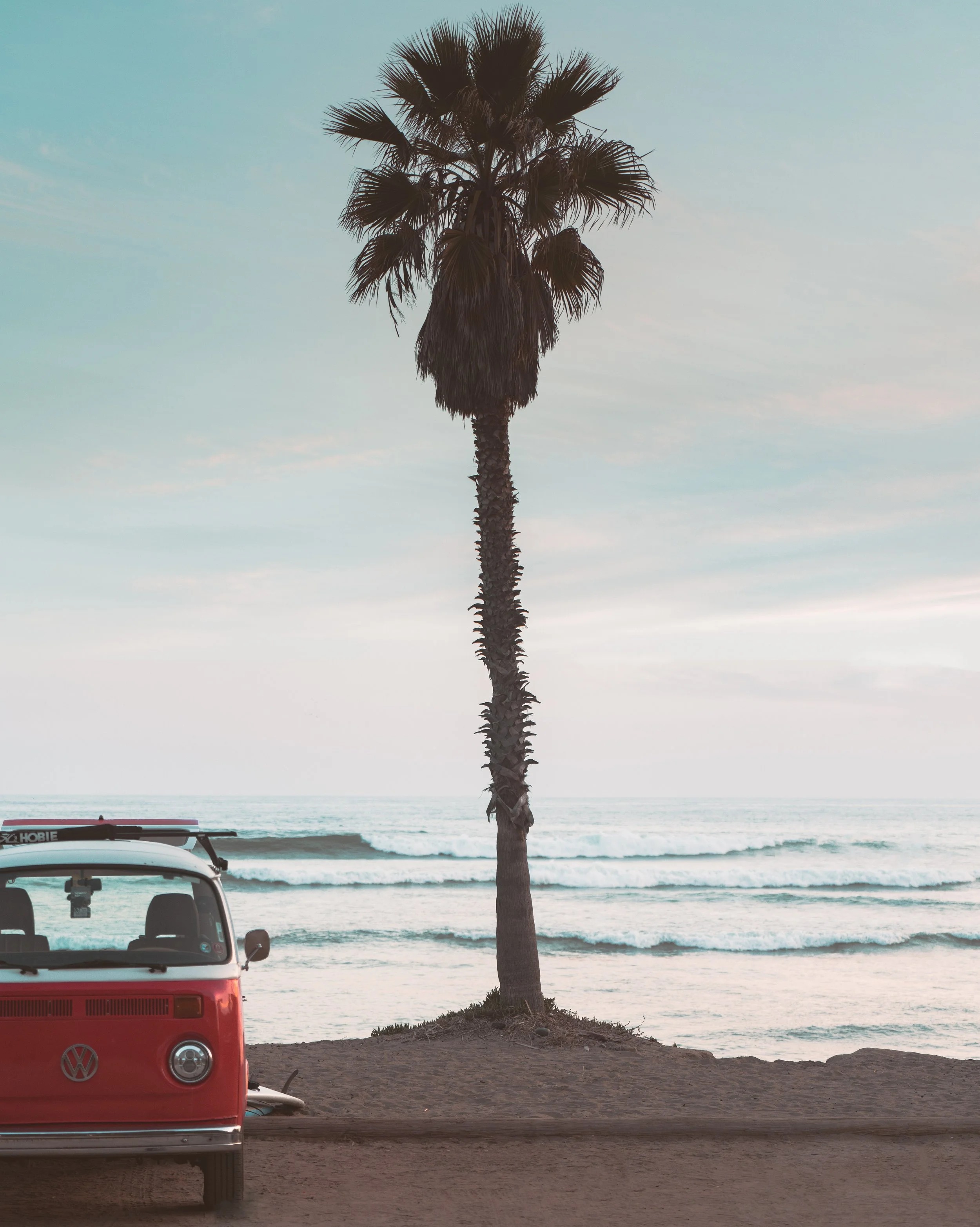 A palm tree stands on a sandy area near the ocean with waves in the background. Two vehicles are partially visible in the foreground, one red VW bus and one white vehicle. The sky is clear with a few clouds.