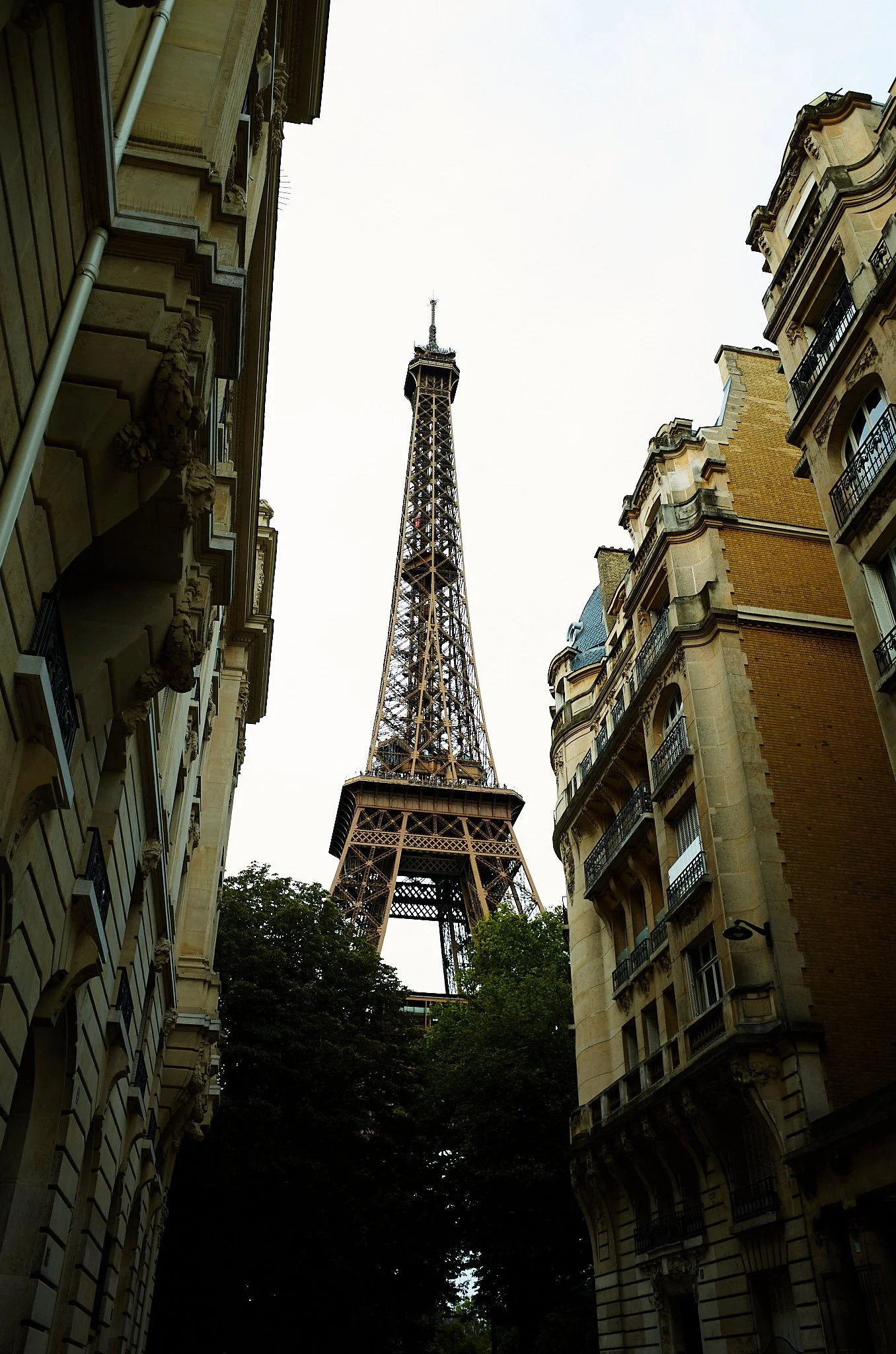 A view of the Eiffel Tower framed between two Parisian buildings with ornate facades and balconies, and green trees at the bottom.