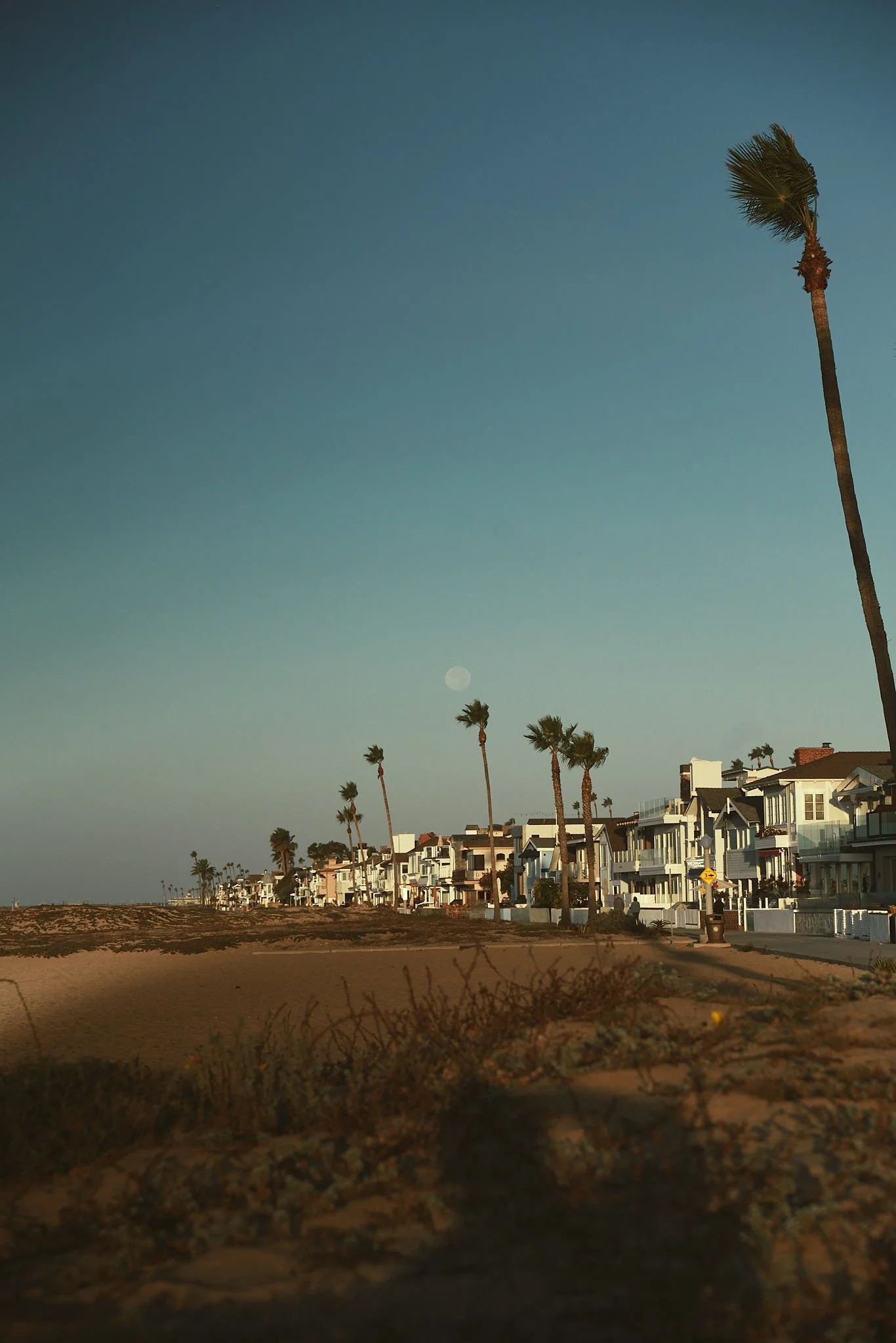 Beachside houses with palm trees along a sandy shore under a blue sky with the moon visible.