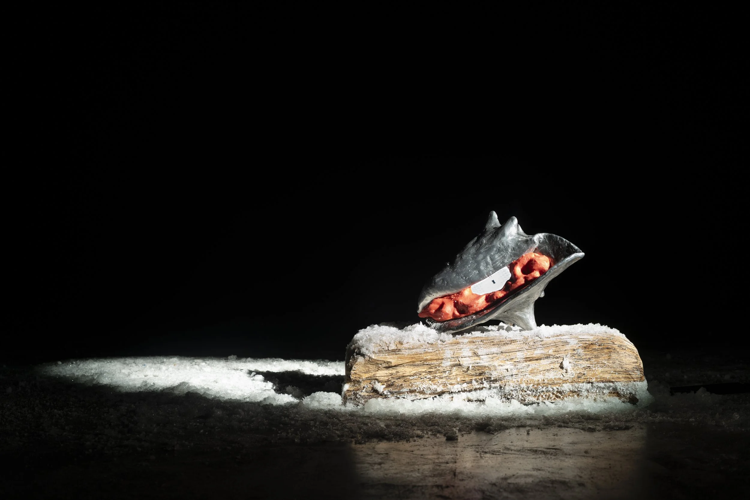 Conch,  
Cast Aluminum, Silicone Rubber, Wood, Salt Crystals, Looping Animation (1:33 seconds), 2025