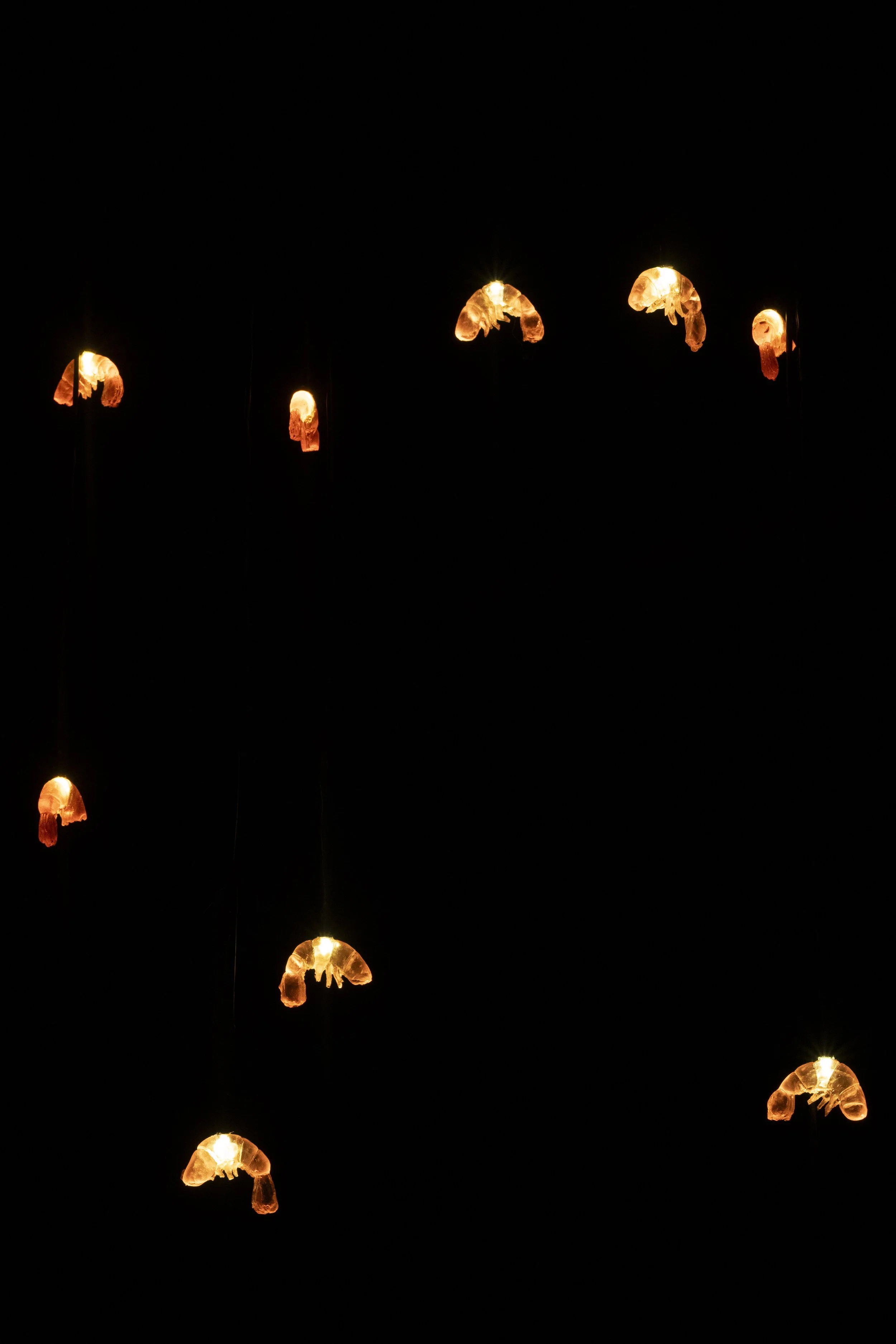 Shrimp Lights, Cast Resin, Custom Pendant String Lights, 2025