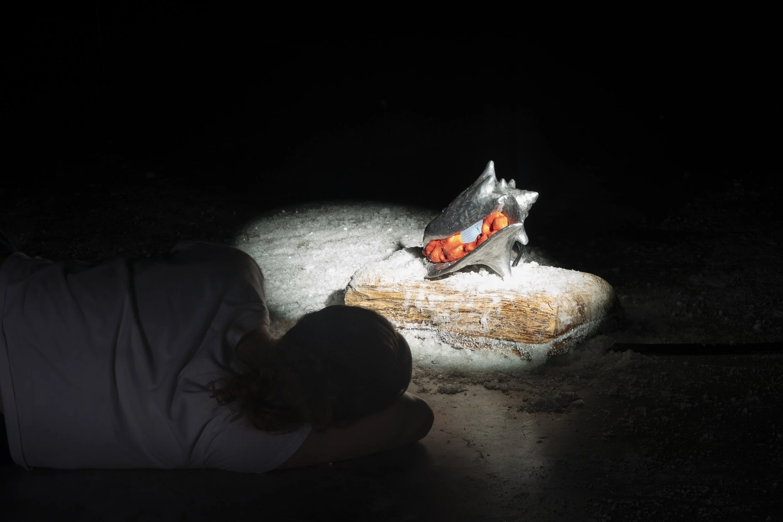 Conch,  
Cast Aluminum, Silicone Rubber, Wood, Salt Crystals, Looping Animation (1:33 seconds), 2025