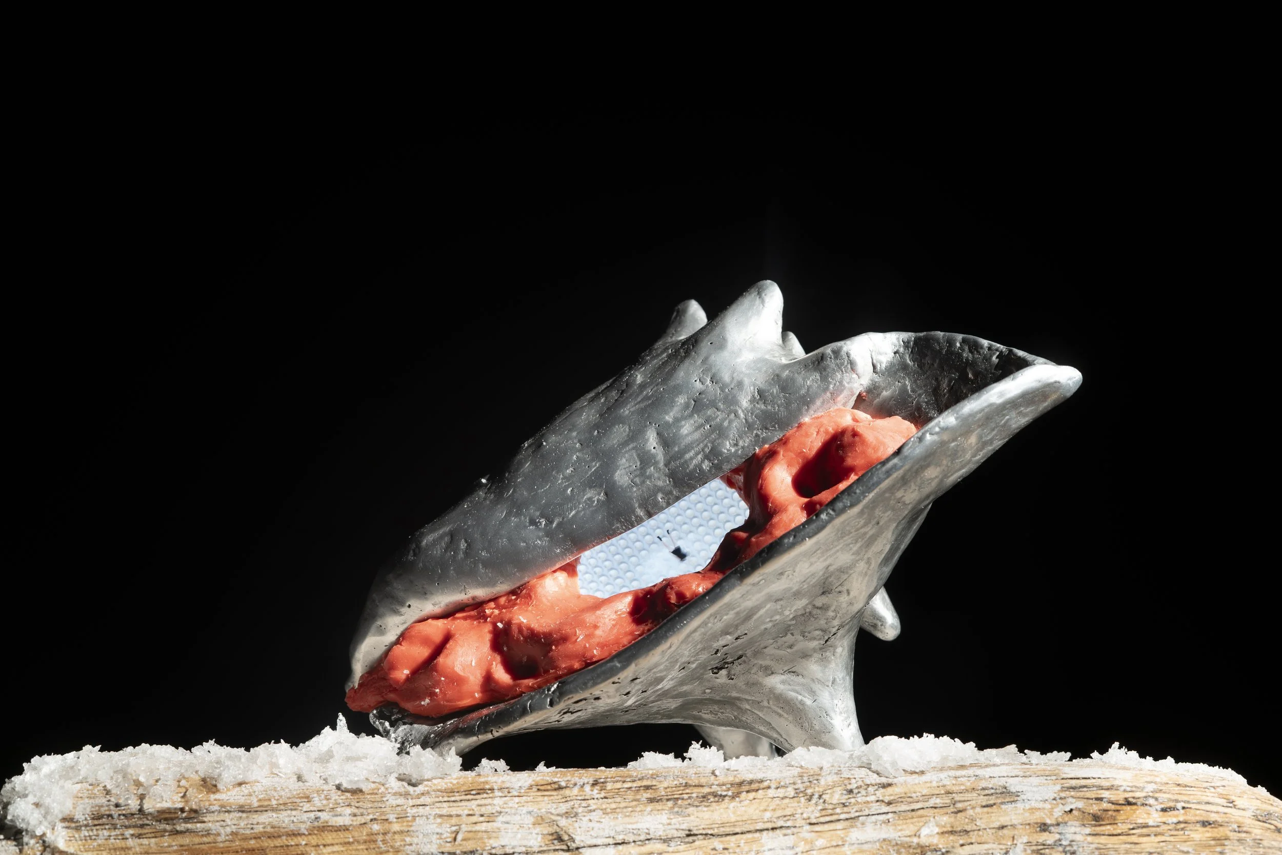 Conch,  
Cast Aluminum, Silicone Rubber, Wood, Salt Crystals, Looping Animation (1:33 seconds), 2025