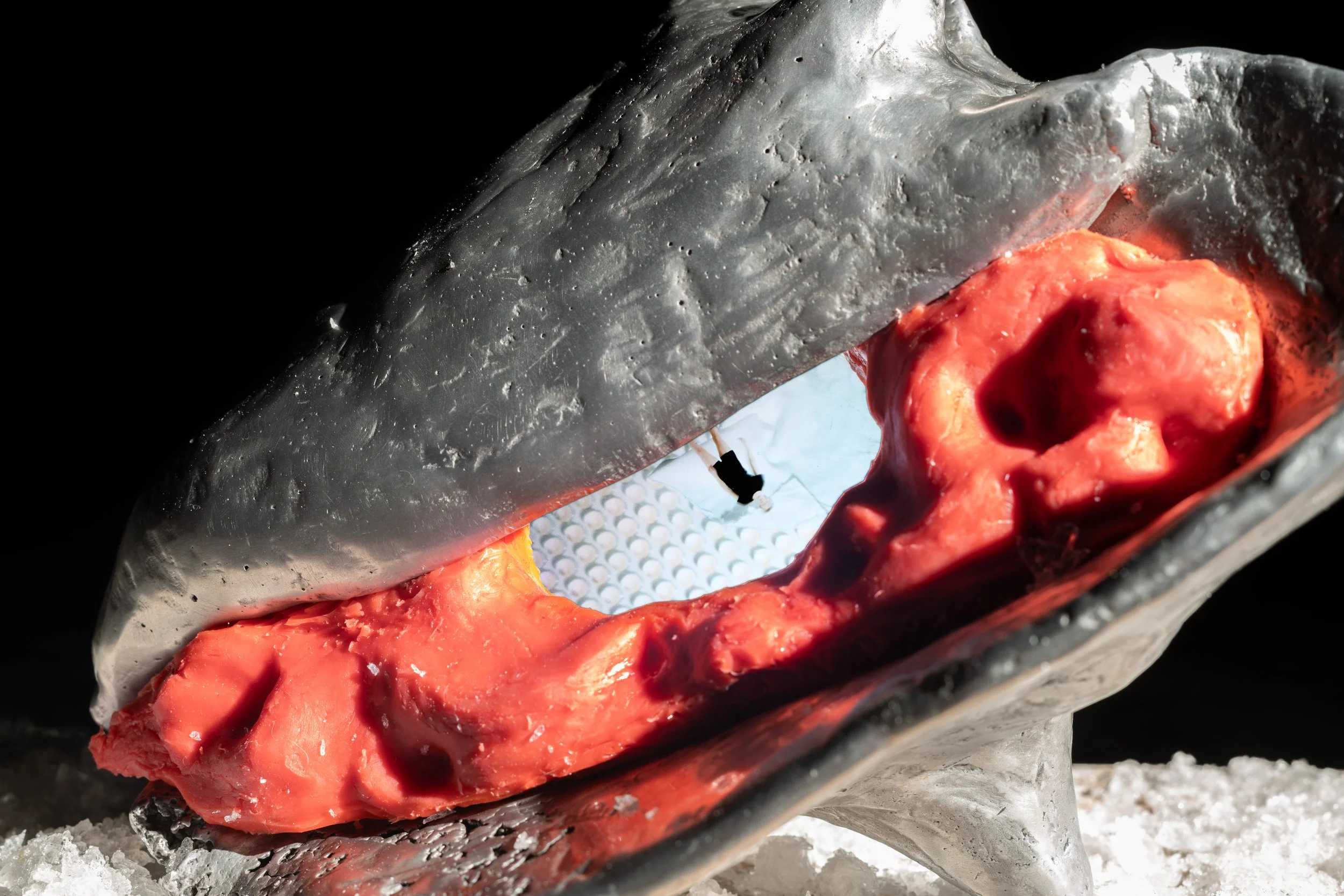 Conch, 
Cast Aluminum, Silicone Rubber, Wood, Salt Crystals, Looping Animation (1:33 seconds), 2025