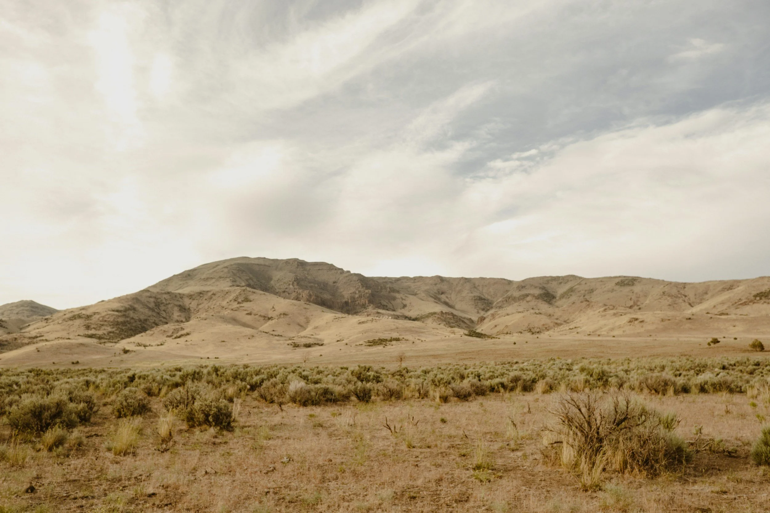 Arid desert landscape with rolling hills and sparse vegetation, under a cloudy sky.
