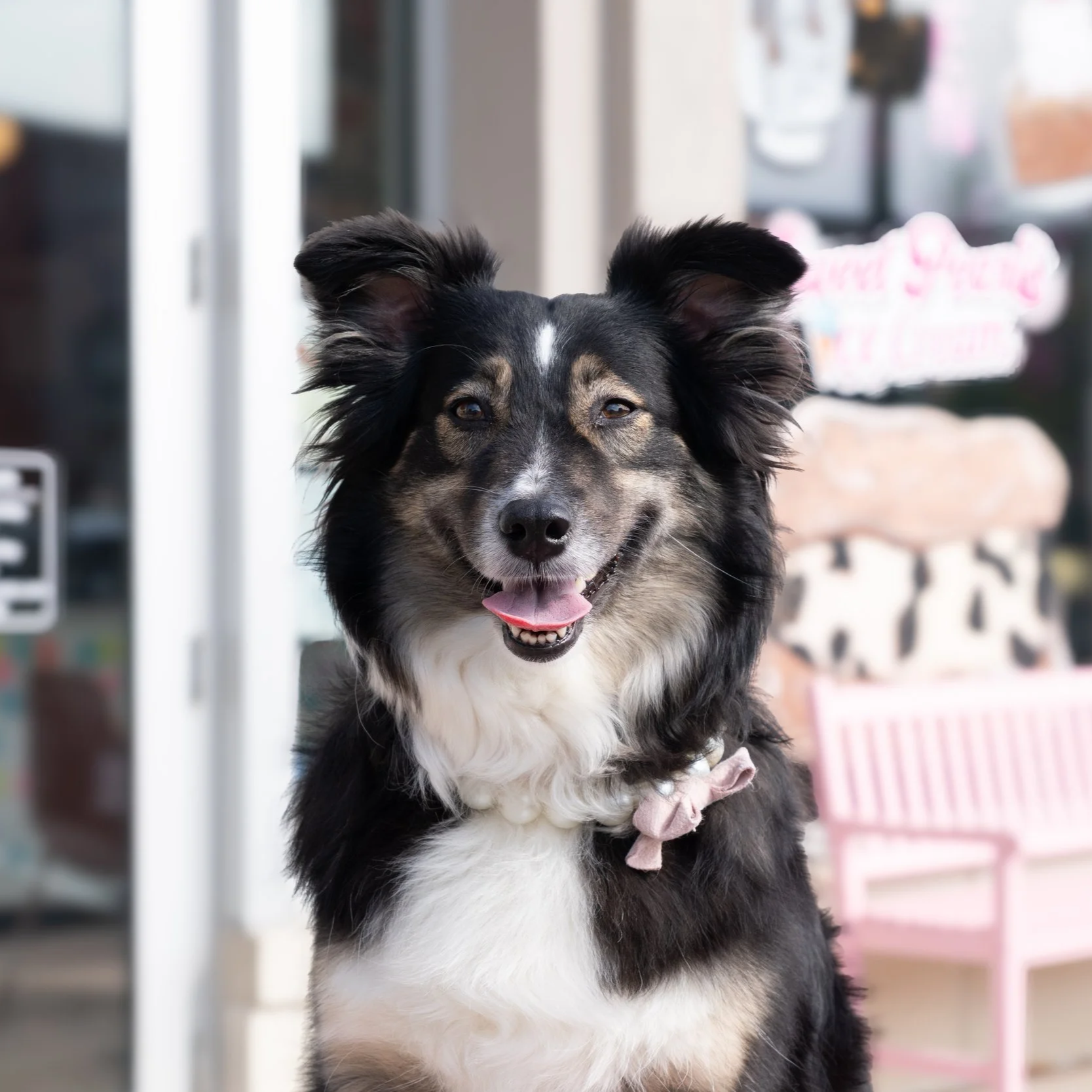 Sweet Pearl's Ice Cream