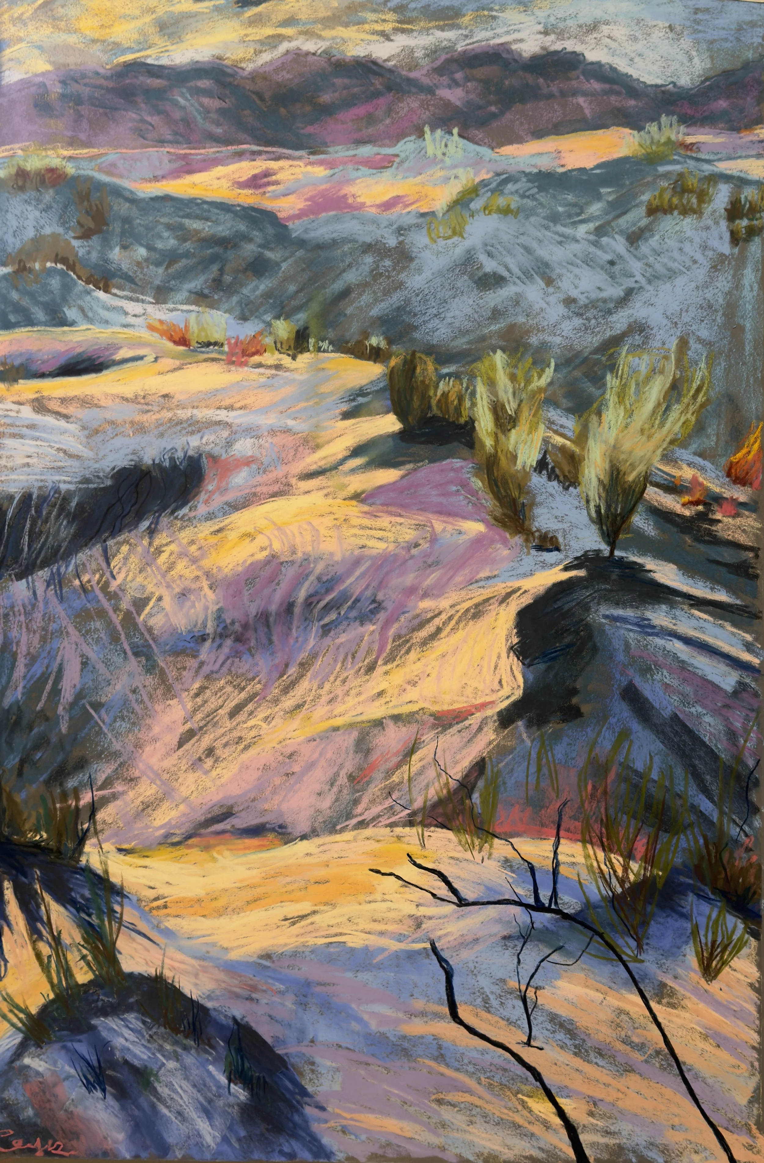 White Sands, NM 3
Pastel on sanded paper, 18x36