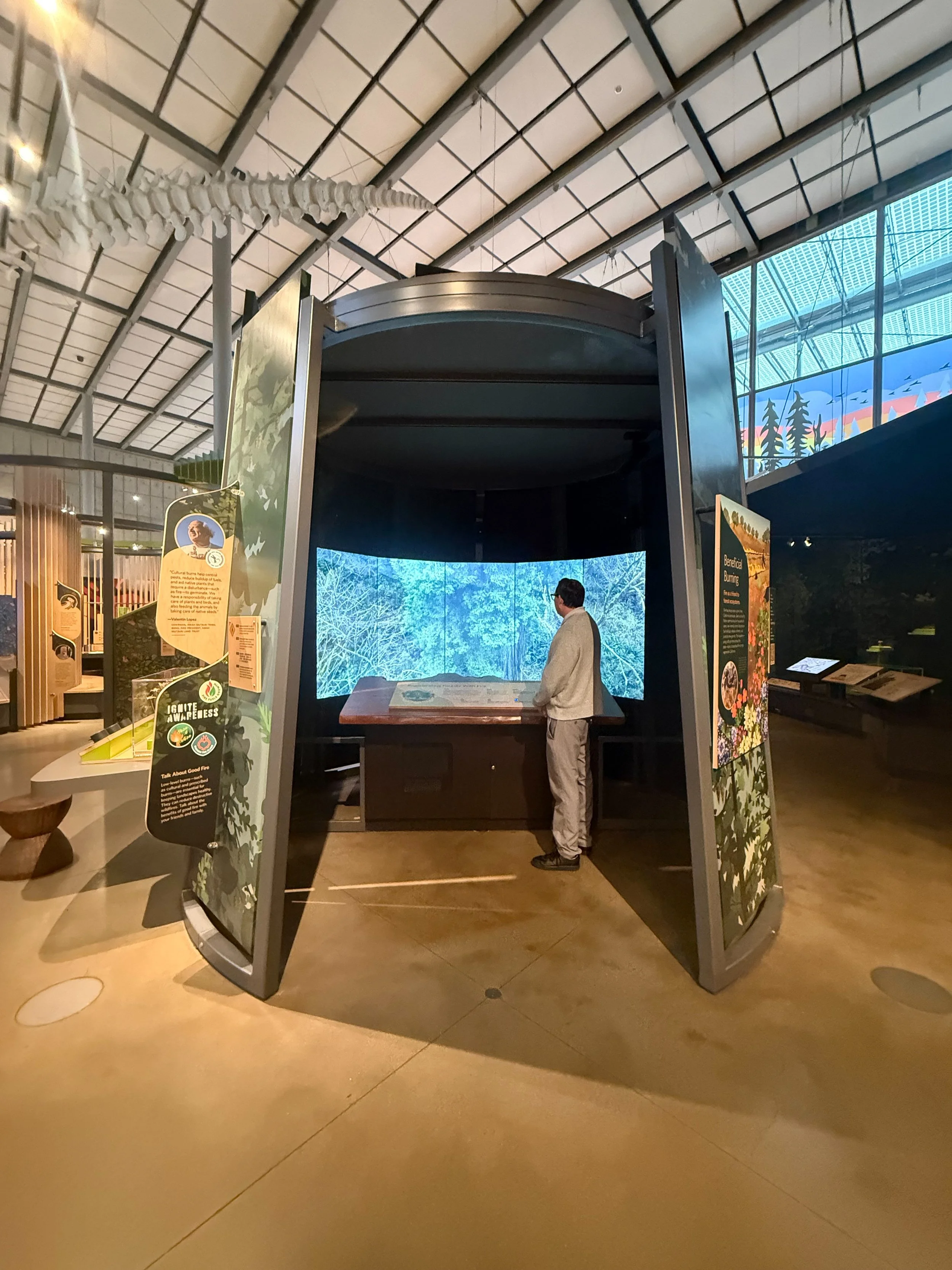 Fire Experience: Entryway
