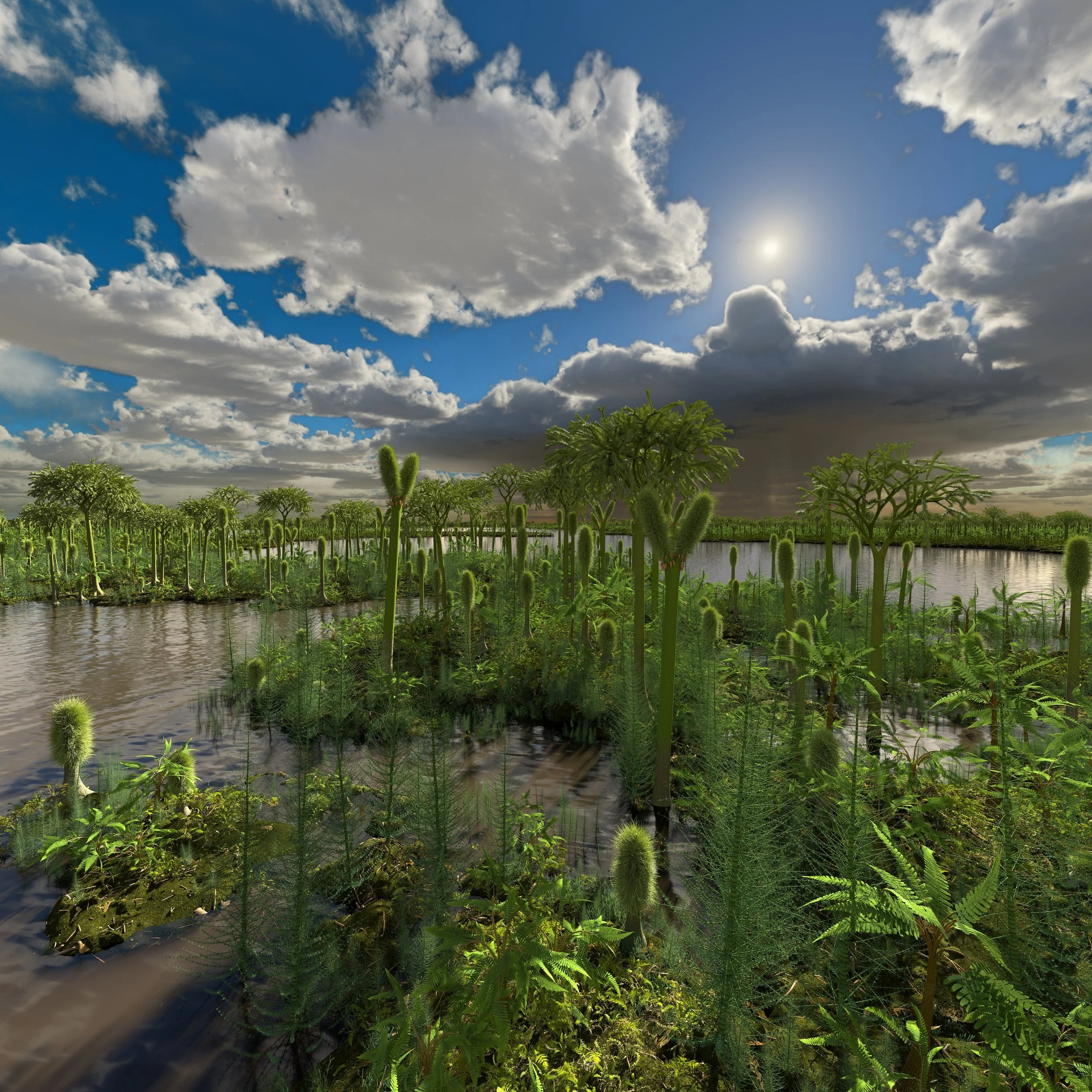 More than 300 million years ago, during the Carboniferous Era, the first forests took root on land. They transformed rock into soil and helped create the world we know today. | California Academy of Sciences

