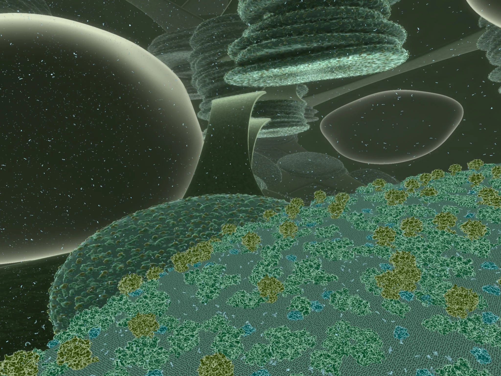 Audiences plunge inside the chloroplast of a redwood leaf cell. The fl at, stacked structures are called thylakoids, where the light-dependent reactions of photosynthesis occur. |
California Academy of Sciences