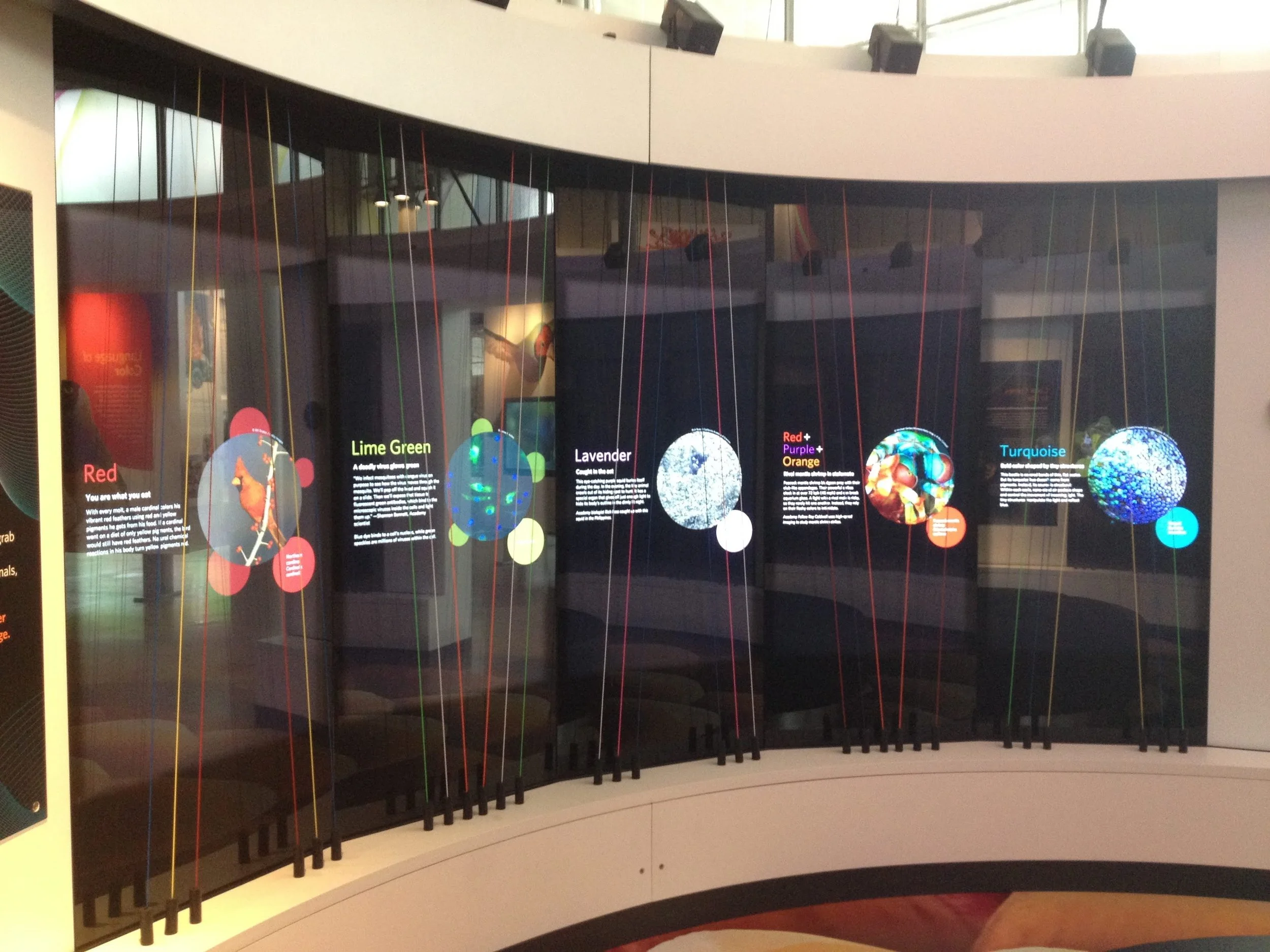 Color Visualizer: Inside