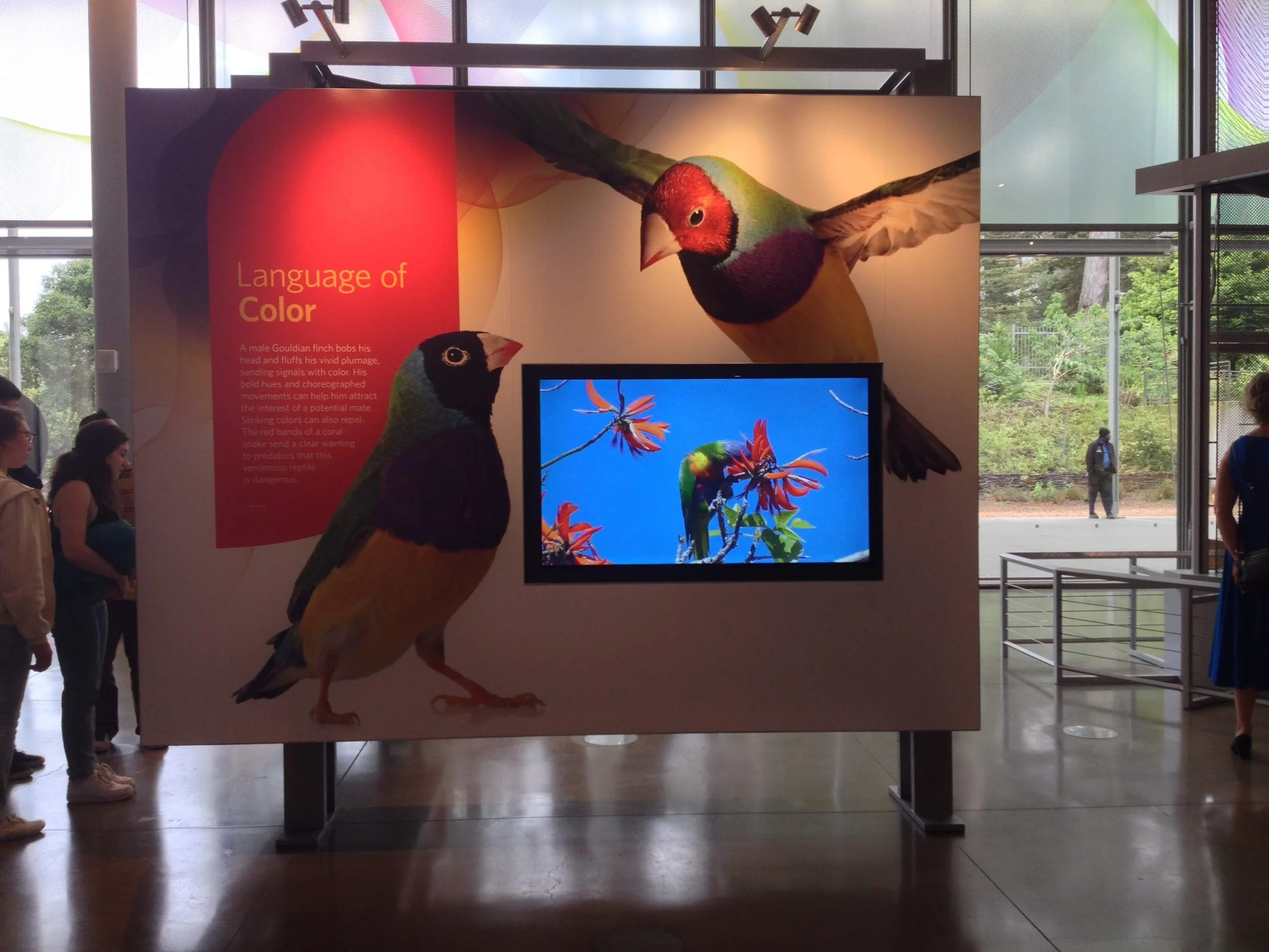 Gallery Attract Screen