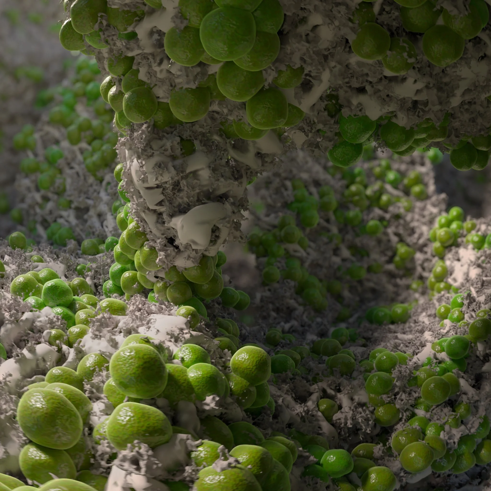 On earth, life exists in extreme environments, such as inside rocks high in the Atacama desert, exposed to intense ultraviolet radiation. The interior of such a rock can be home to a tiny, hospitable “nanoclimate“ teeming with microbial life. | Calif
