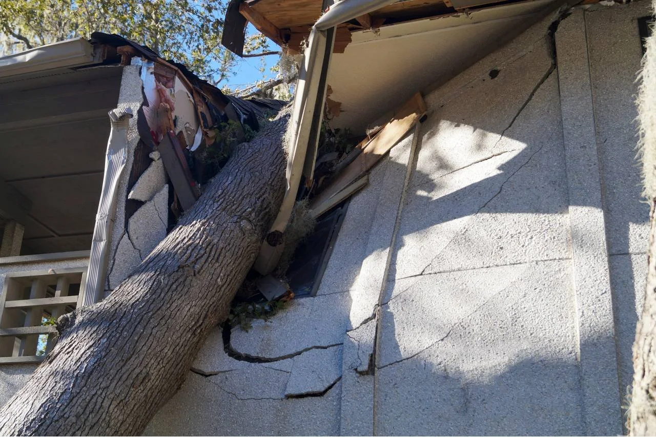 A large tree has fallen onto a house, causing extensive damage to the roof and wall, with debris and cracks visible on the exterior wall.