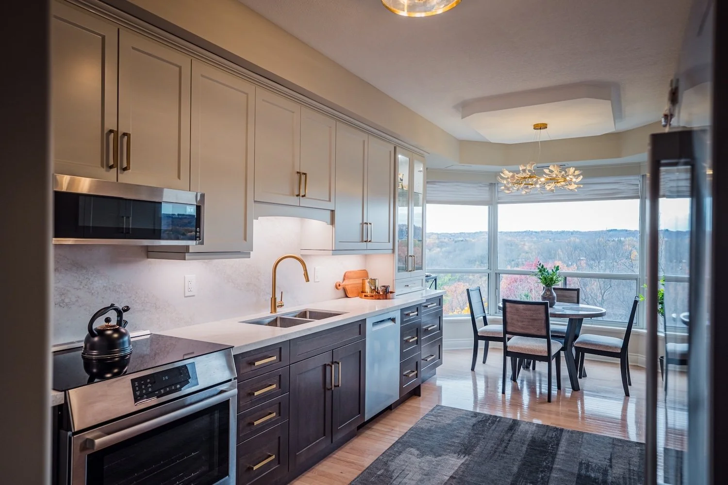 Penthouse Remodel