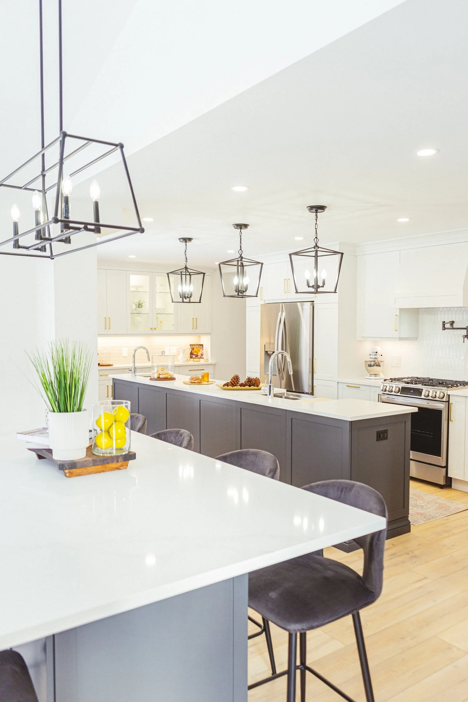 chestco-kitchen-renovations-DSC09627.jpg