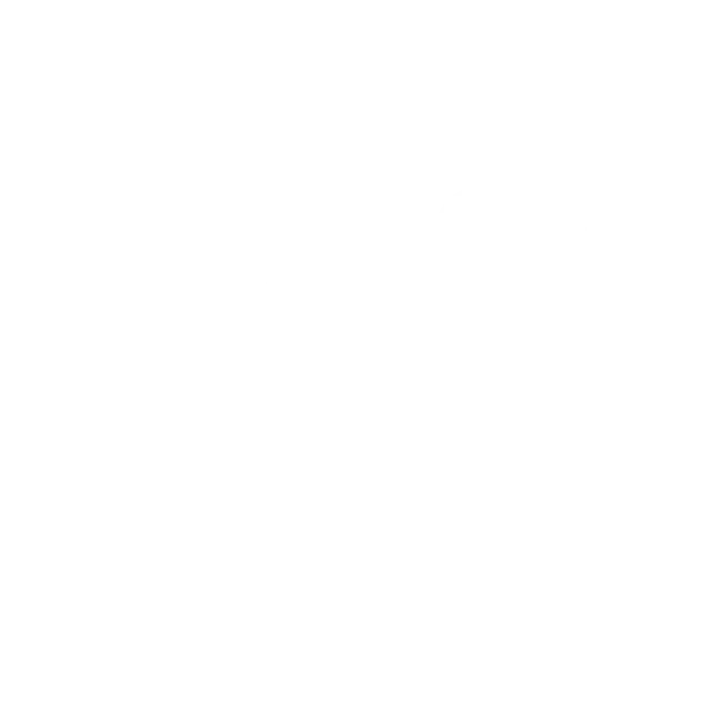 Rocket launch icon representing the pilot, implementation, and growth of an ImmerseMe language learning program.
