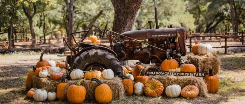 tractor_pumpkins_2.jpg