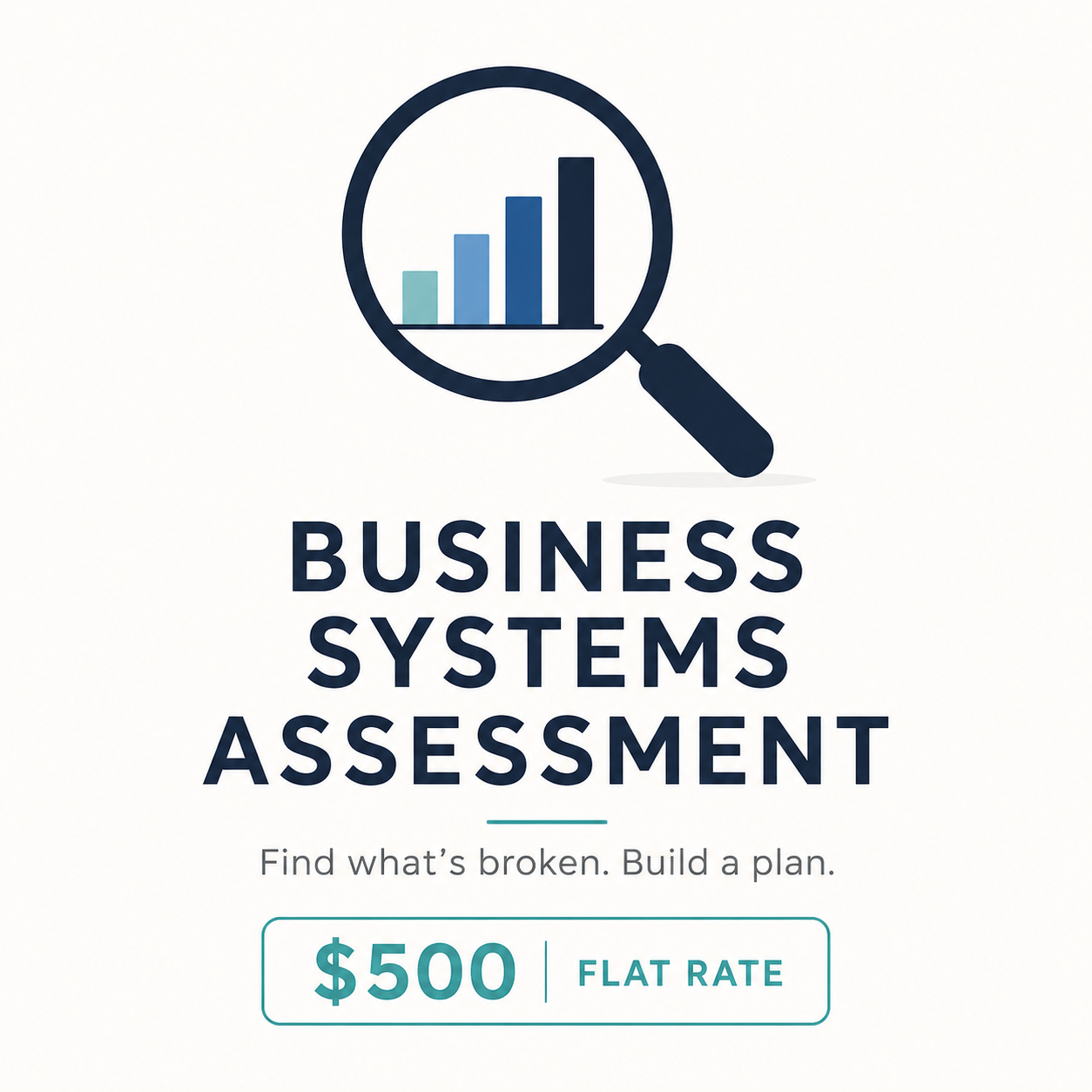 Business Systems Assessment