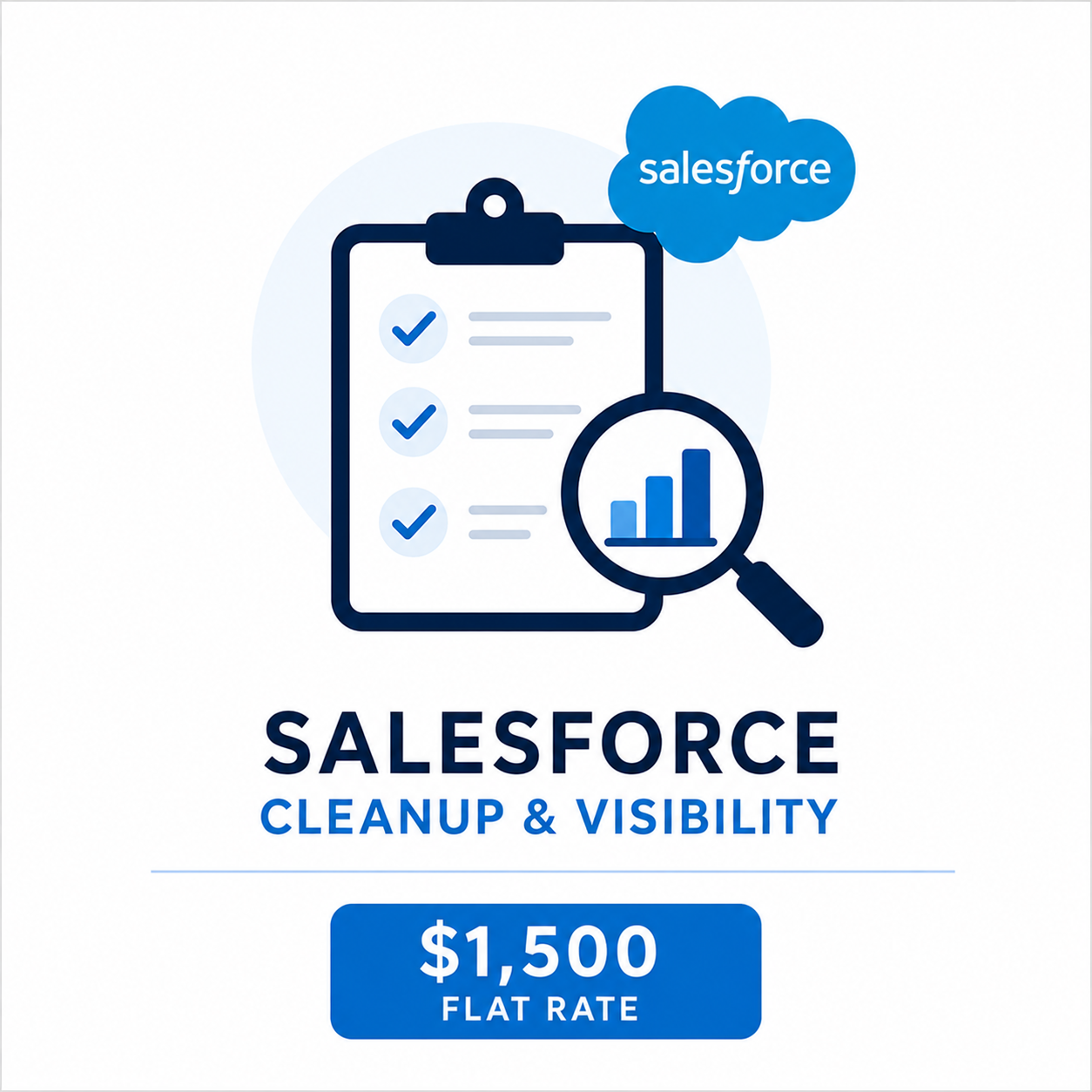 Salesforce Cleanup & Visibility