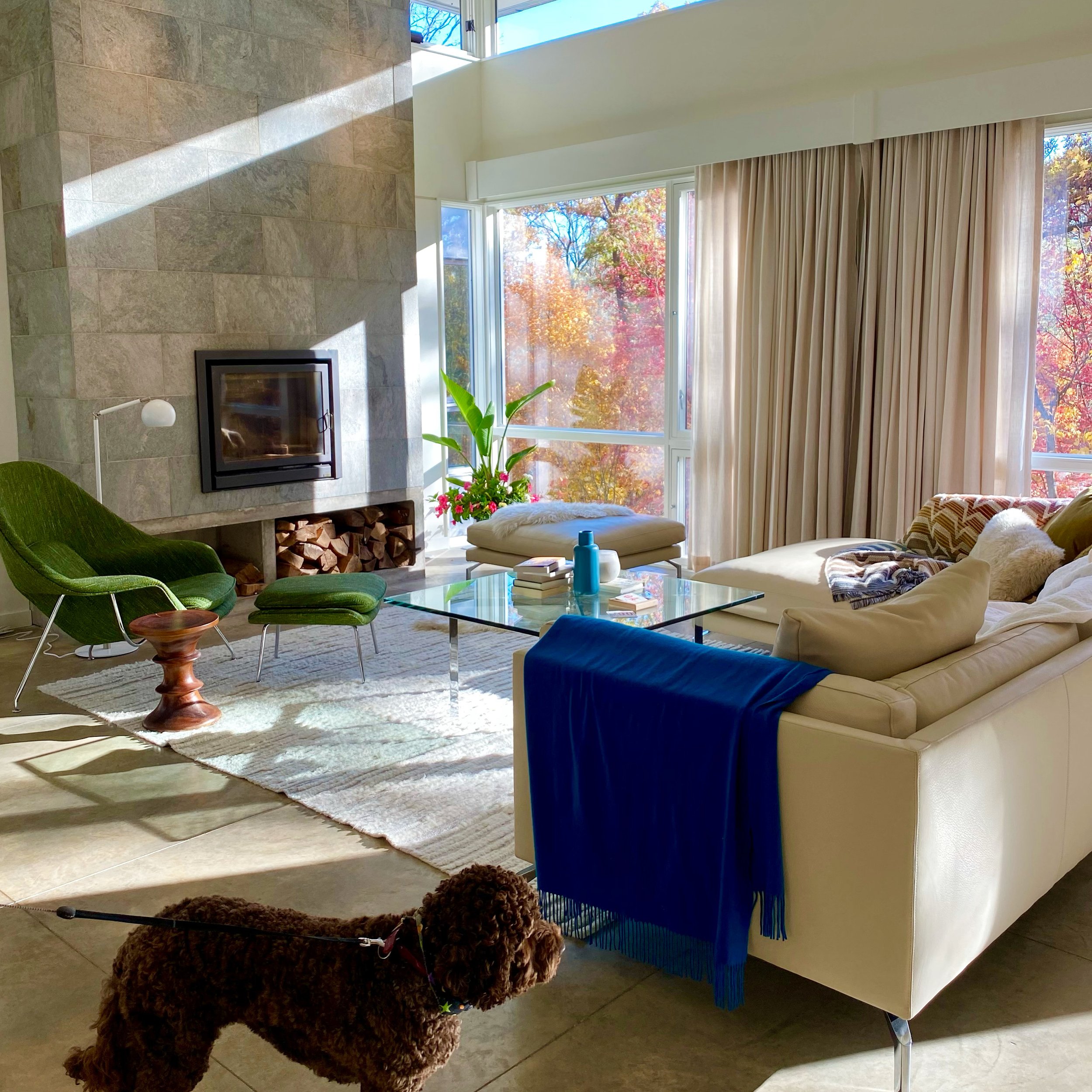 A cozy living room with large windows showing colorful autumn trees outside, a white sofa, green and blue chairs, a glass coffee table, and a fireplace.