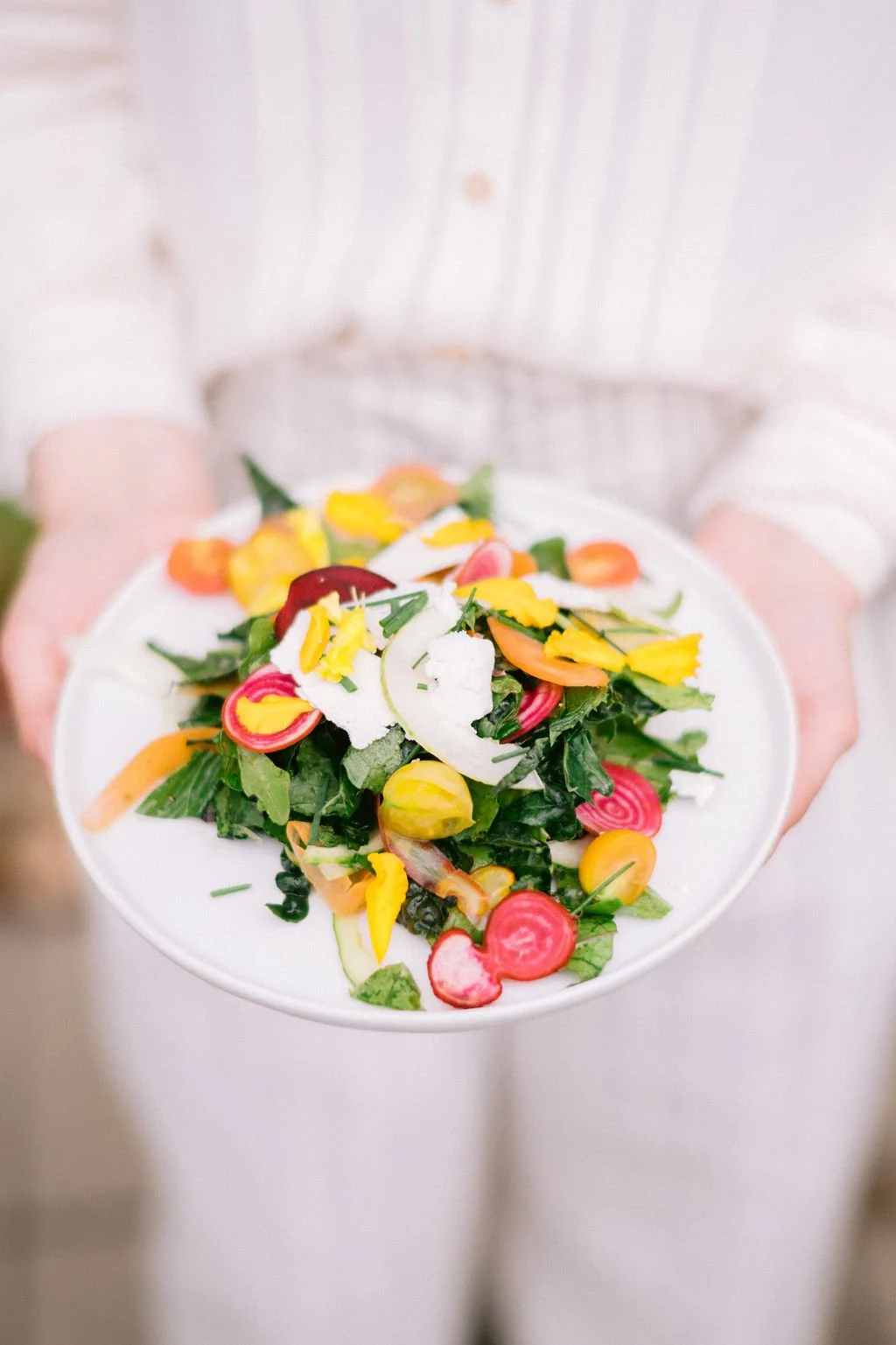 A person holding a white plate with a colorful salad including cherry tomatoes, radishes, yellow petals, and leafy greens.