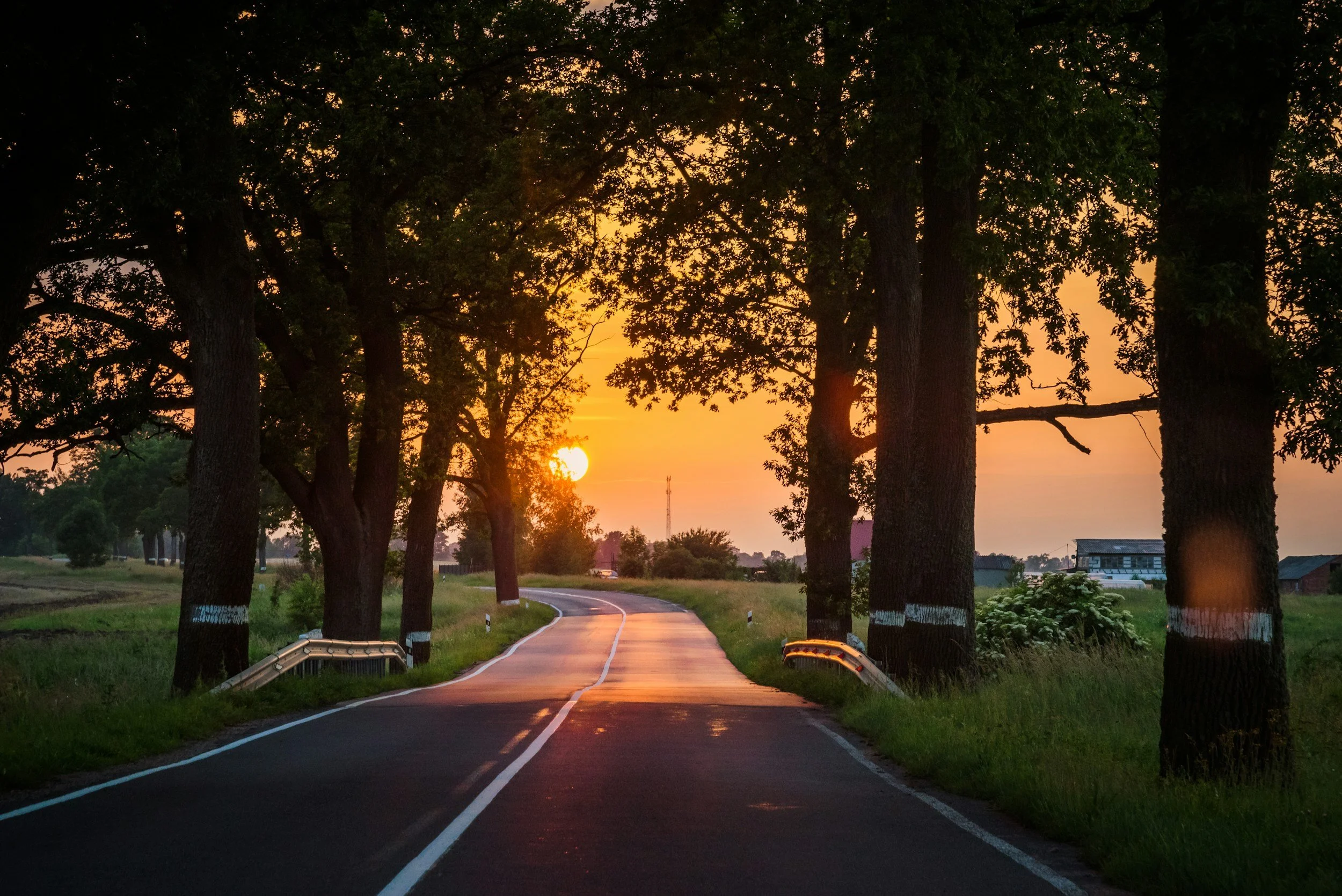 夕暮れ時、木々の間から太陽が沈む風景。曲がりくねった道路と周囲の緑の草原が見える。