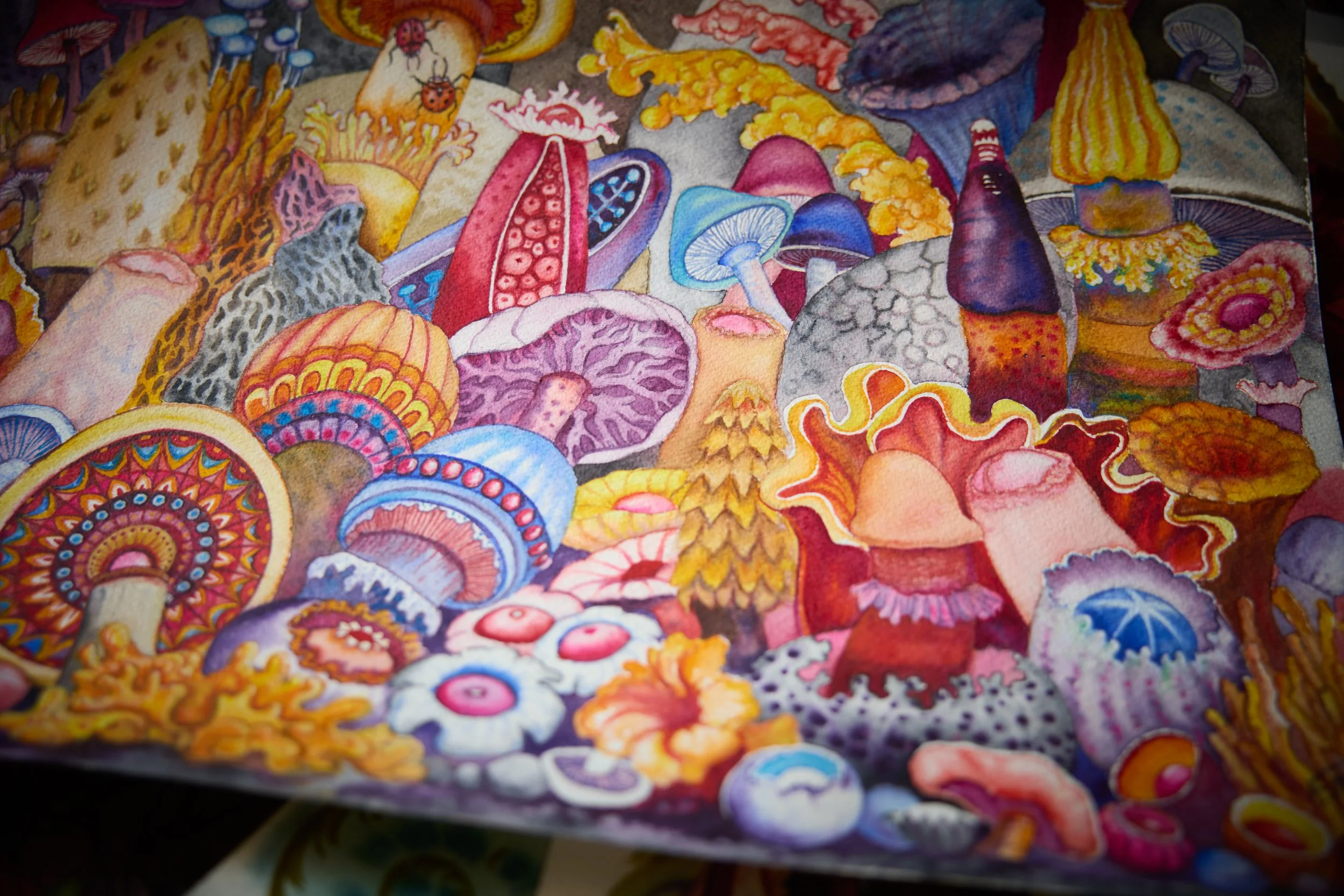 251007_WILLIAM_PAINTINGS8416.jpg