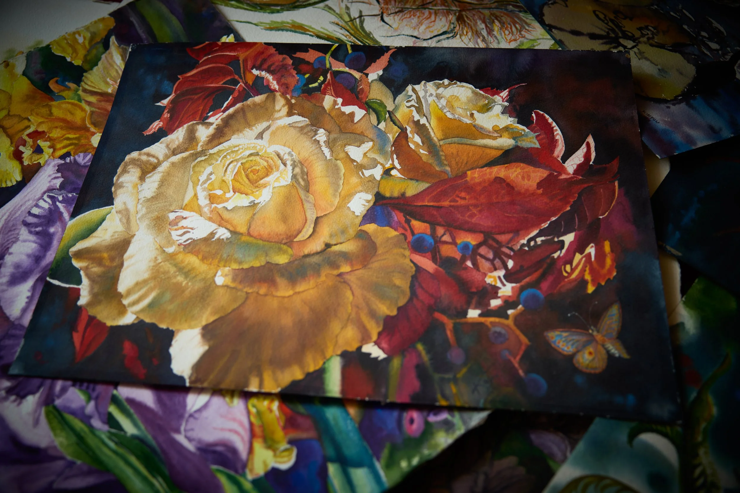 Kennedy's Rose