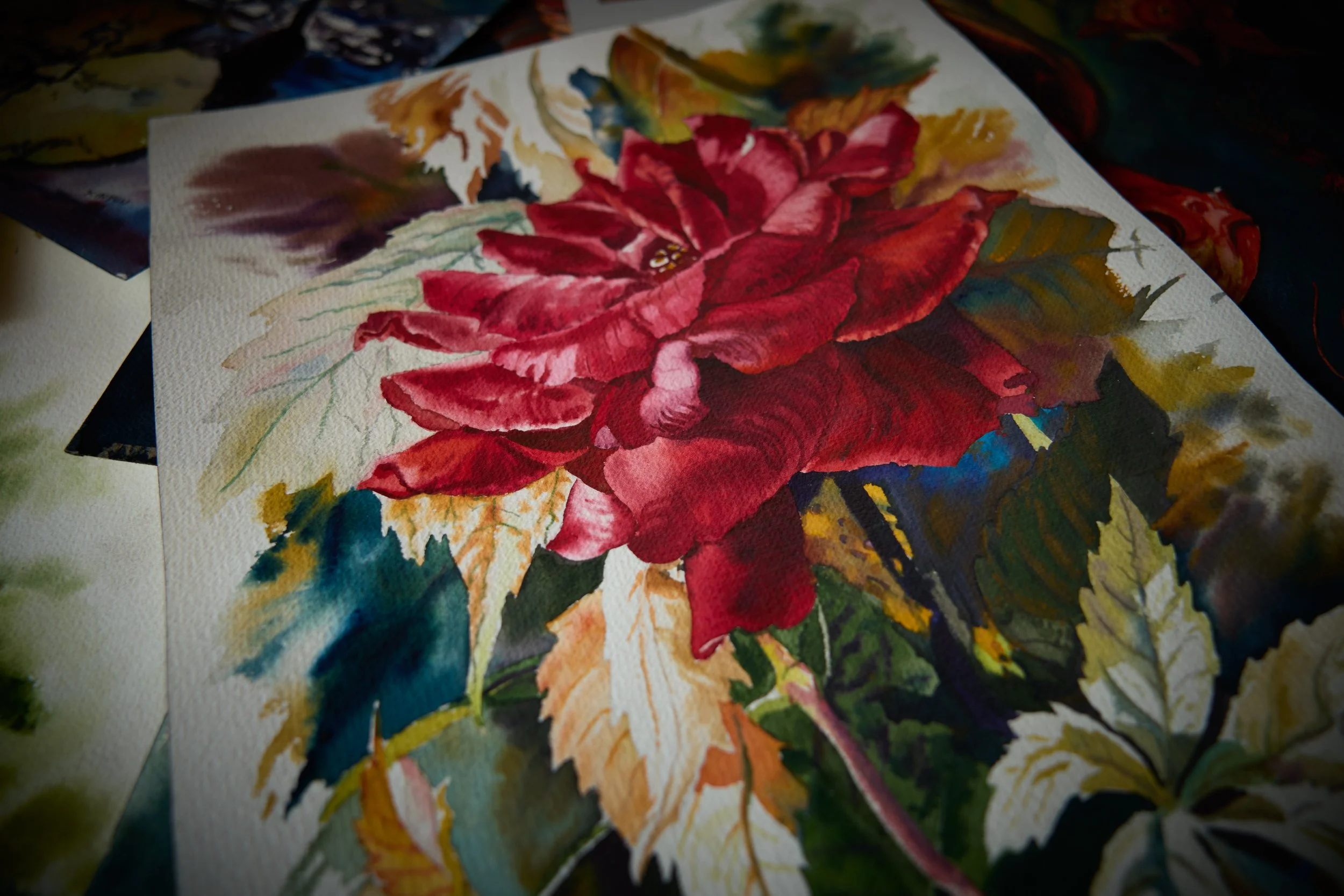Fall in Color