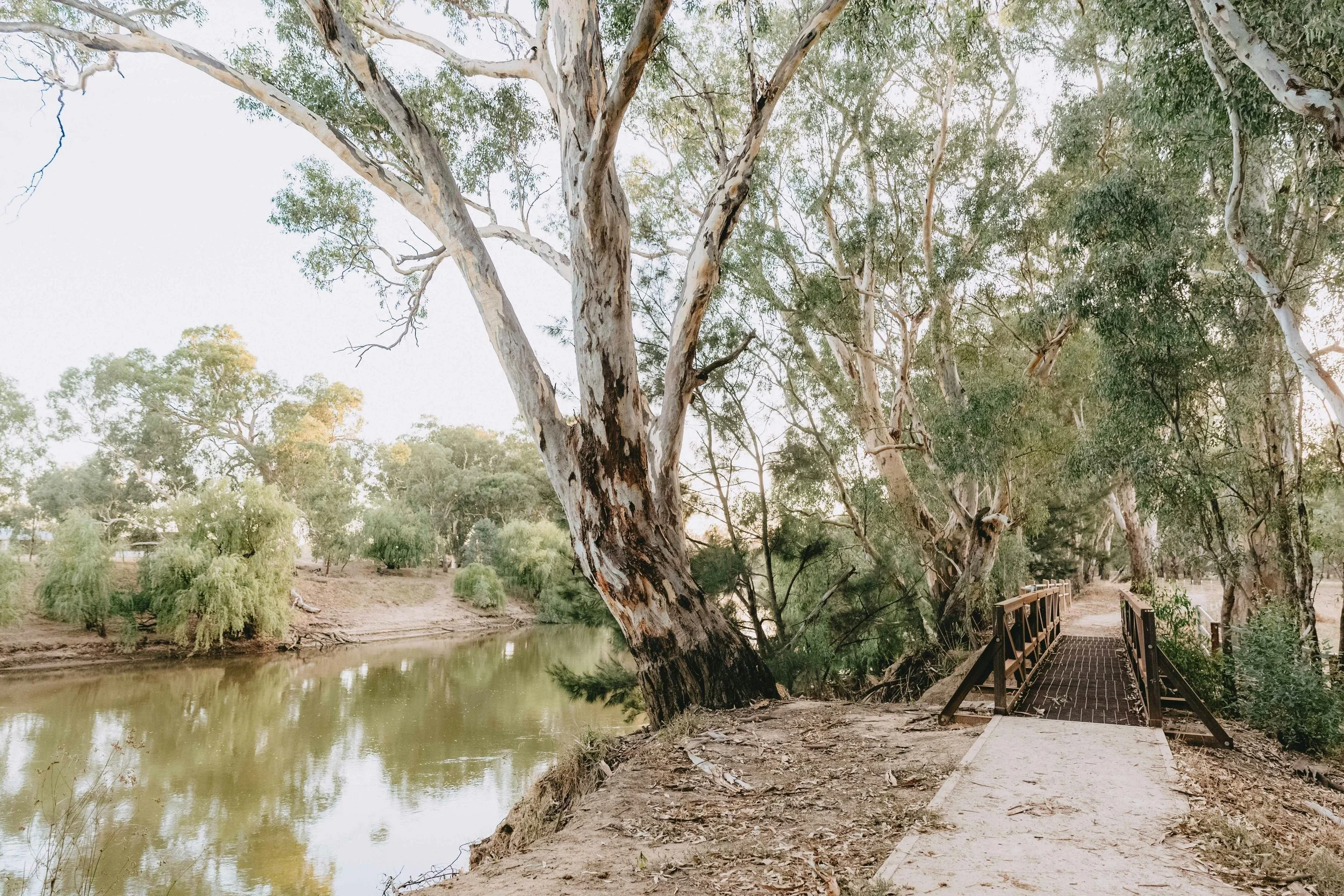 Wiradjuri Walking Track