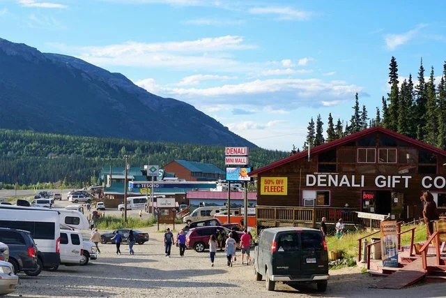 Downtown Denali