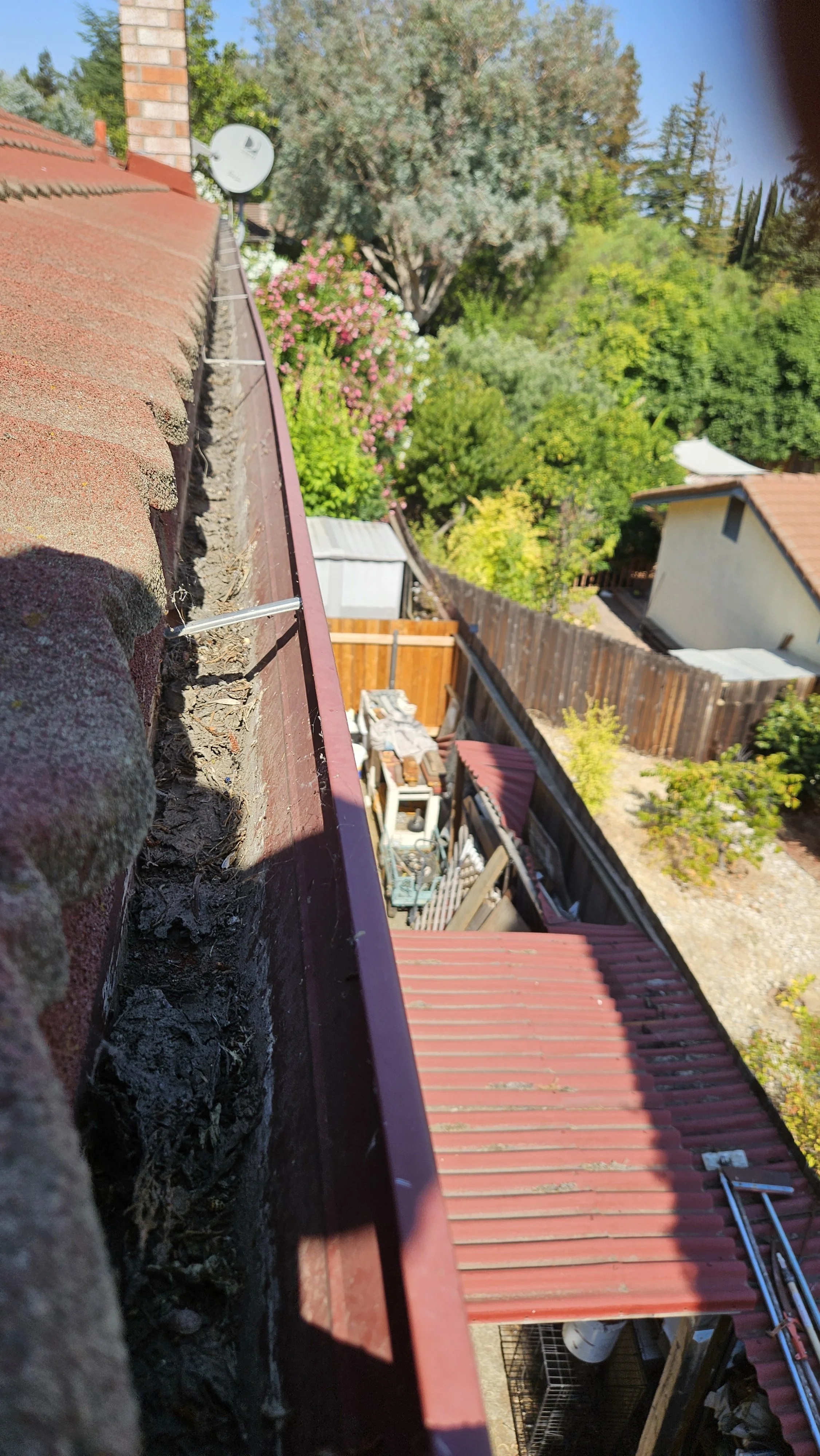 20250811_103758.jpg