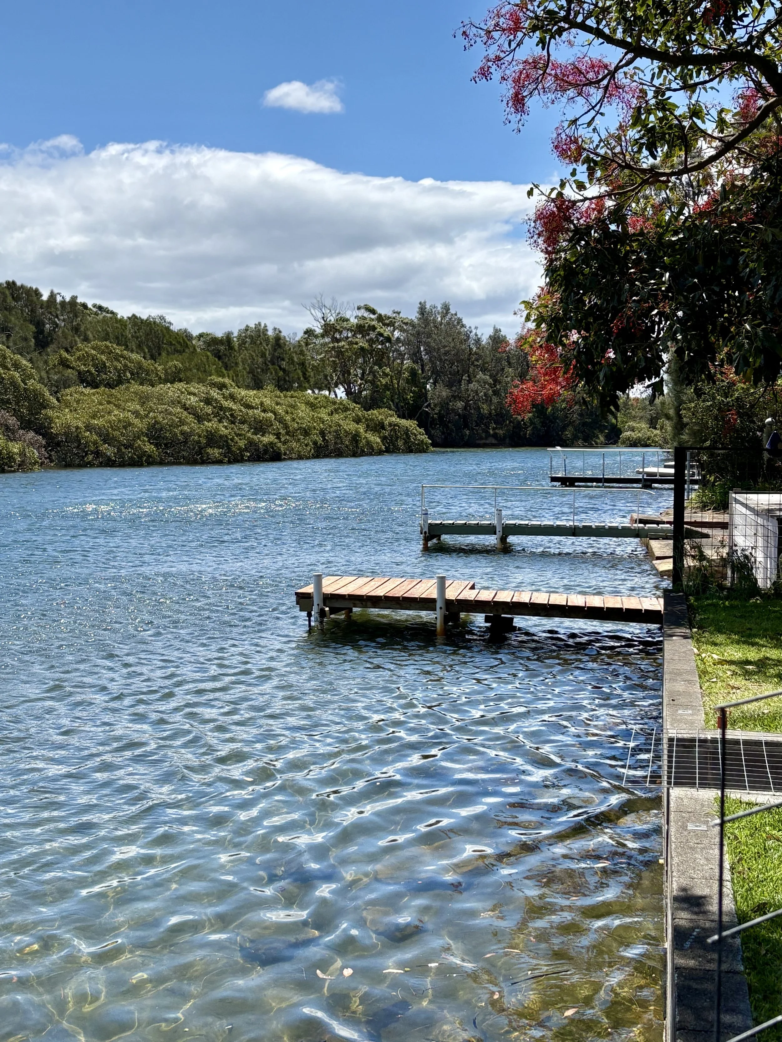 Currarong Creek water next to flame tree with green and red foliage, a small dock extending into the water, and a partly cloudy sky above.