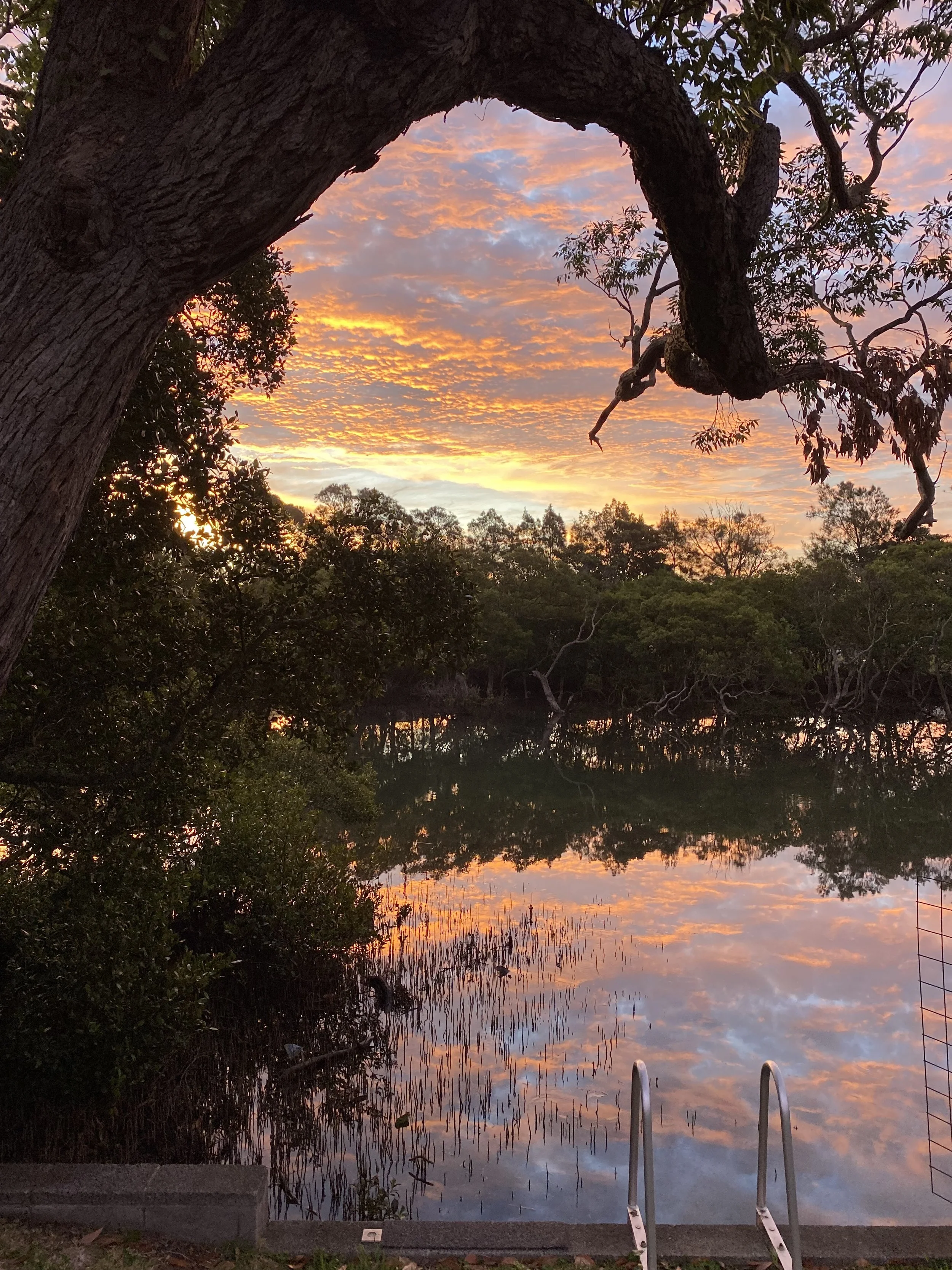 Currarong Creek at sunset with a colorful sky reflected in the water, surrounded by trees and foliage. A metal ladder is visible in the foreground.