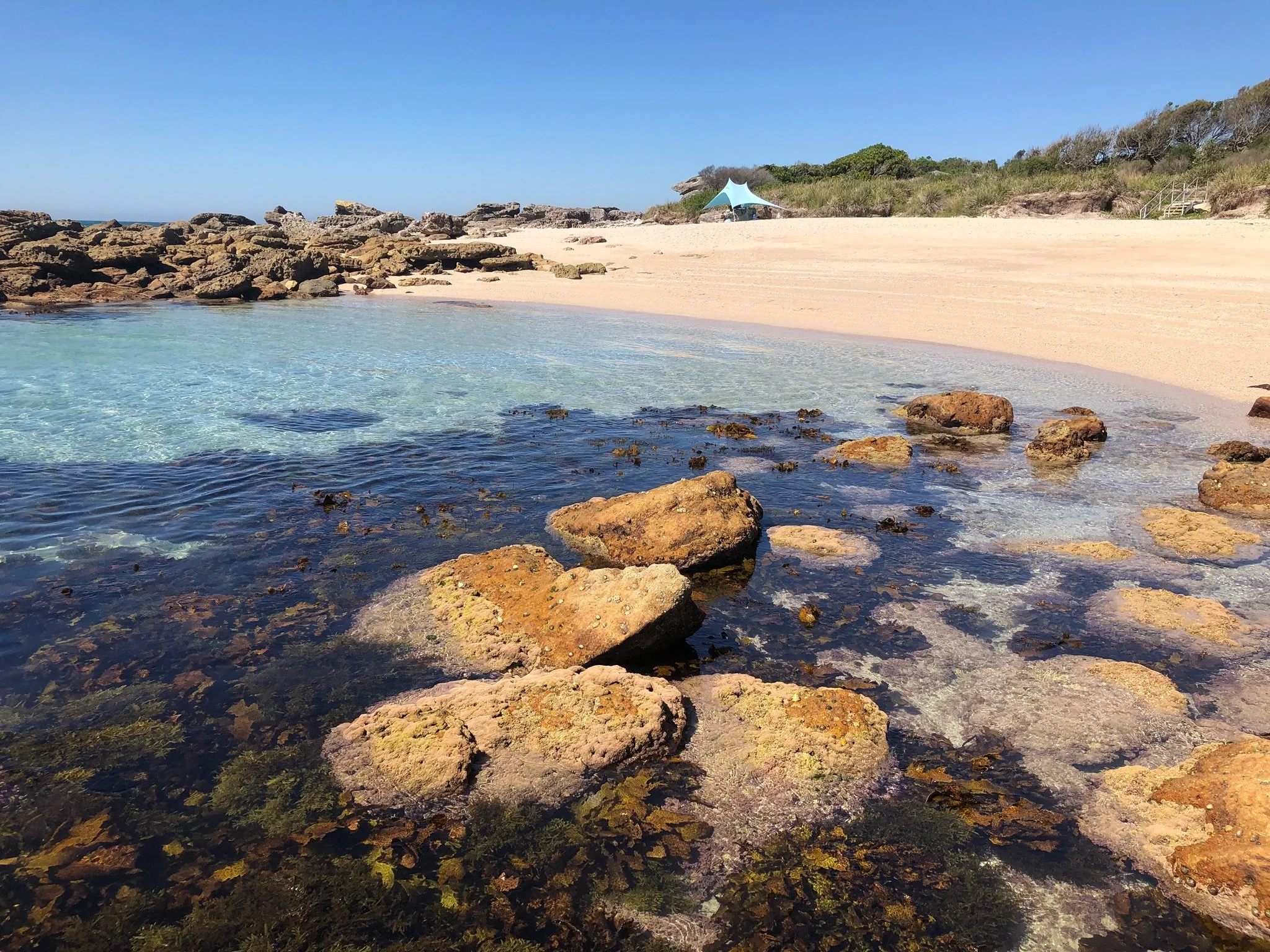 A serene beach scene with clear turquoise water, rocks in the foreground, sandy shoreline, a tent near the trees, and a bright blue sky.