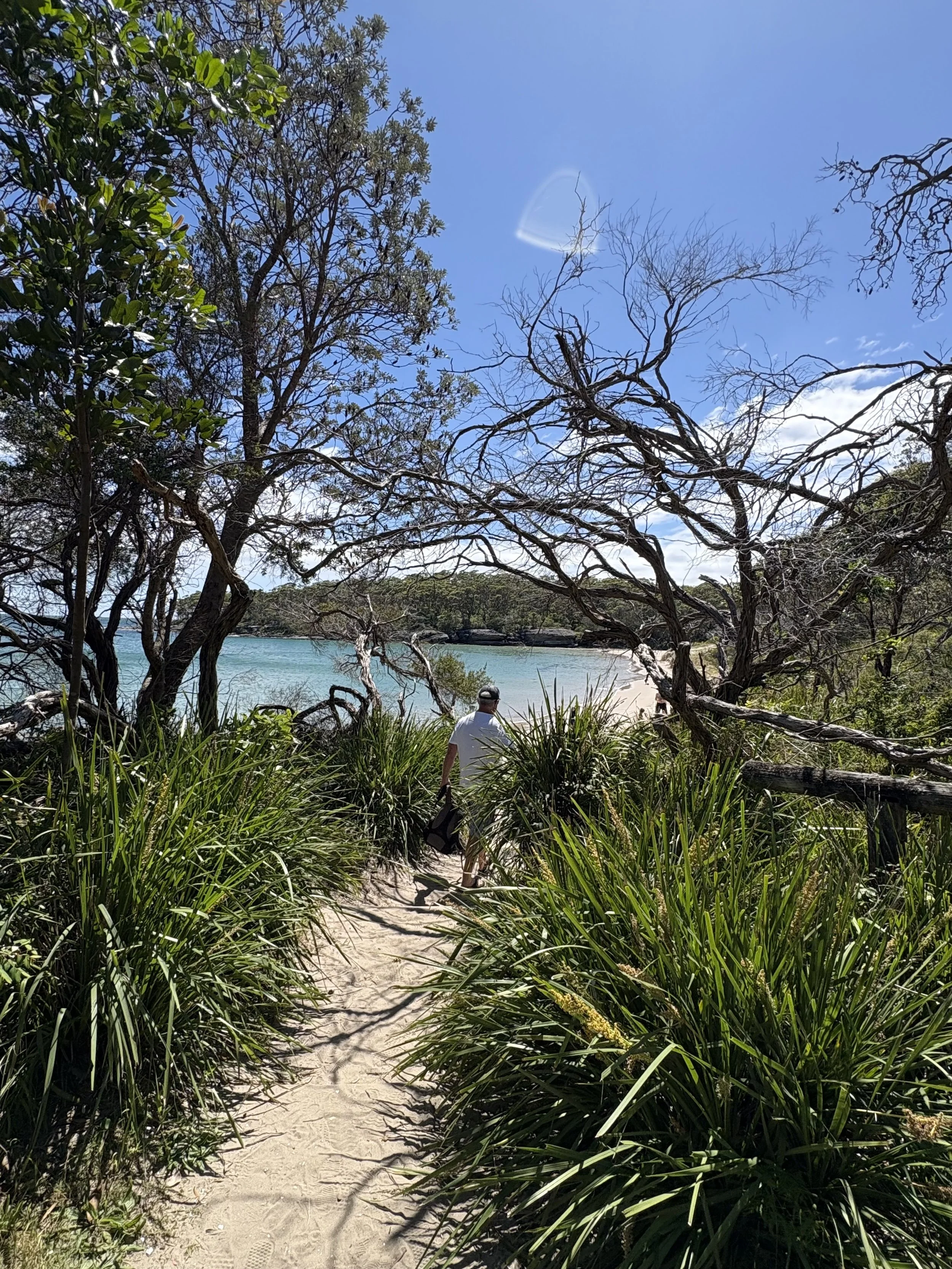 A sandy path leading through green bushes and trees to a beach with calm blue water, under a partly cloudy sky with some clouds and a few bare tree branches.
