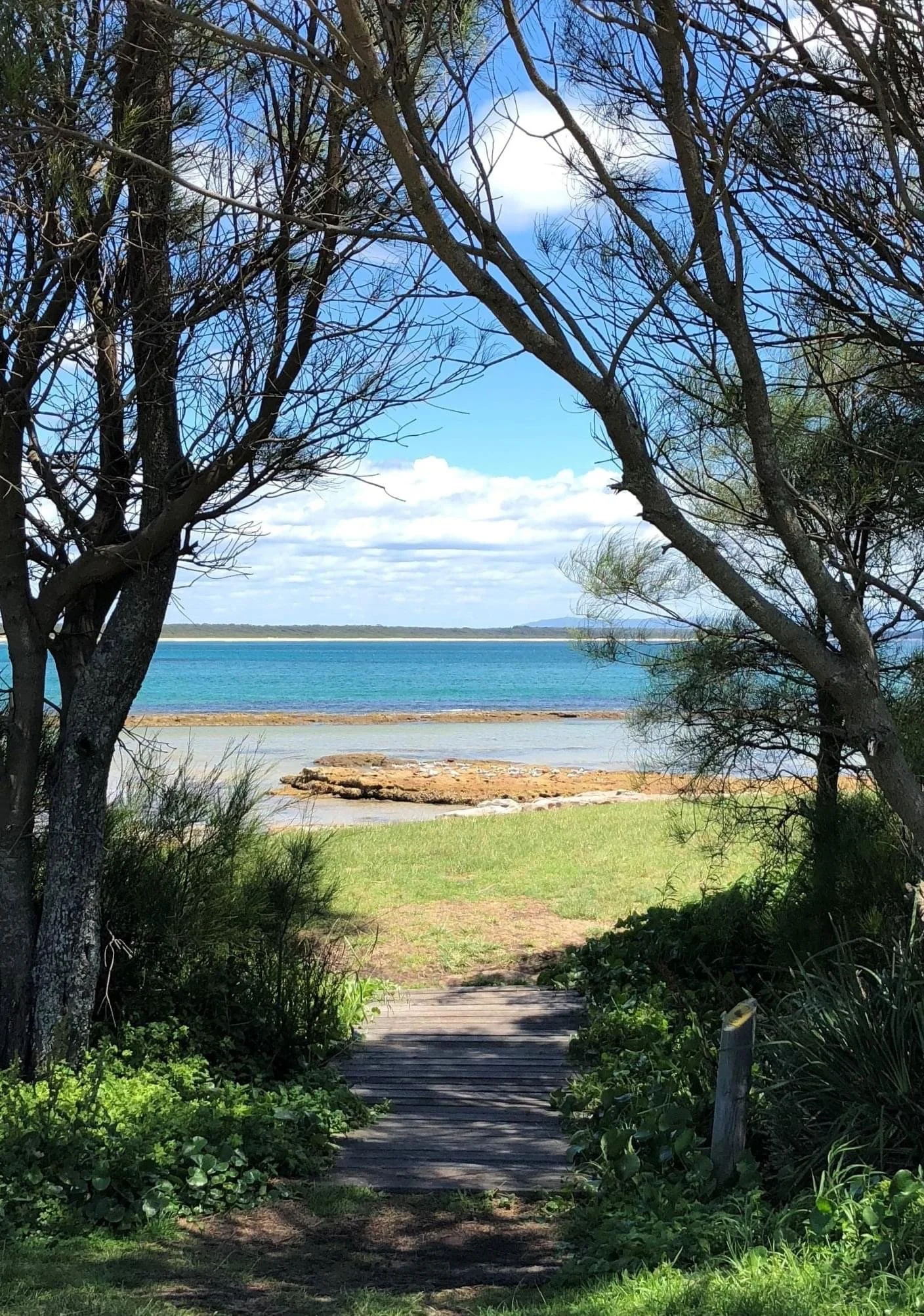 A wooden pathway through greenery leading to a beach with water and blue sky with clouds, framed by leafless trees.