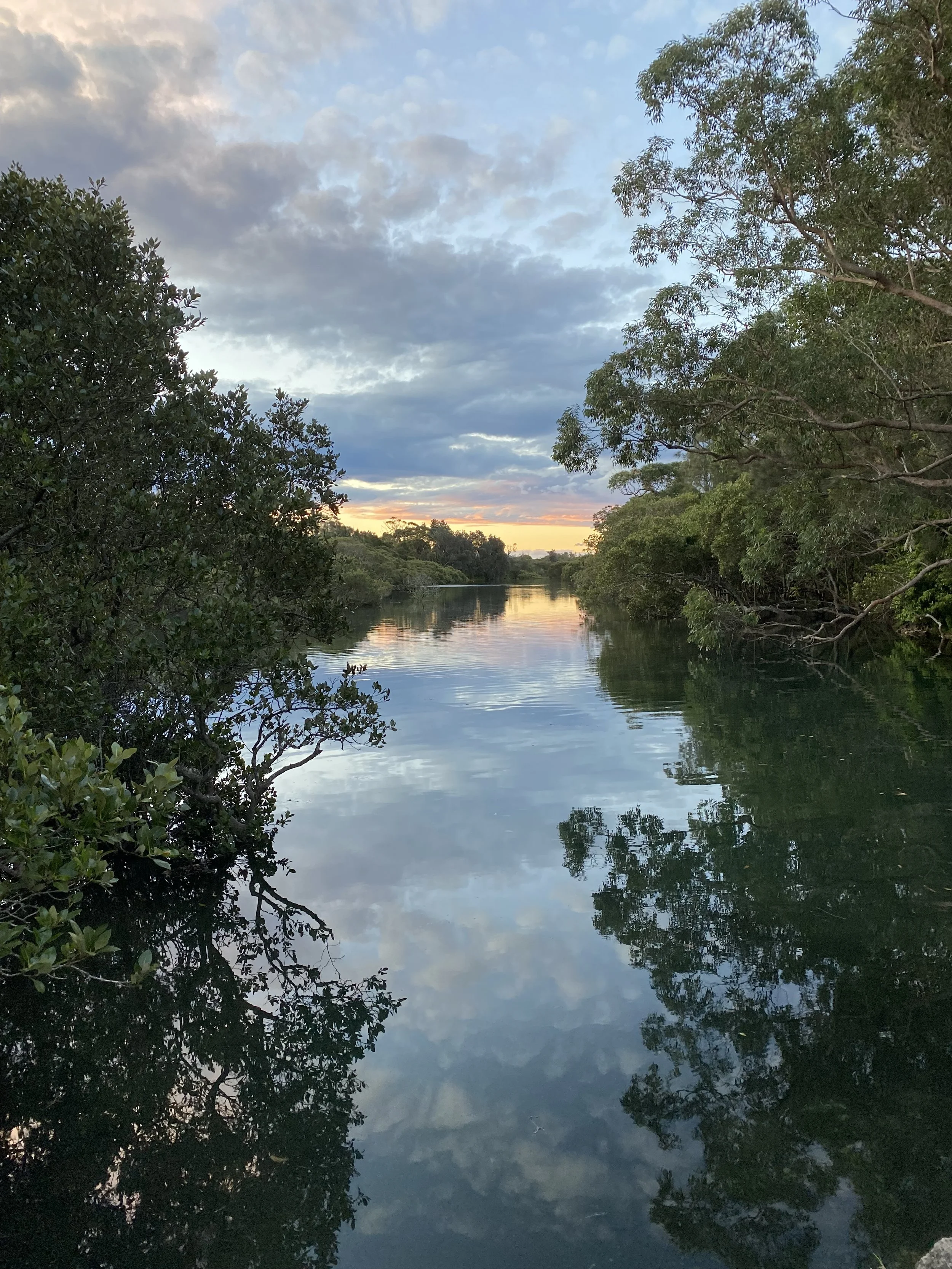 A peaceful landscape of Currarong Creek surrounded by lush green trees with a partially cloudy sky and a hint of sunset on the horizon.