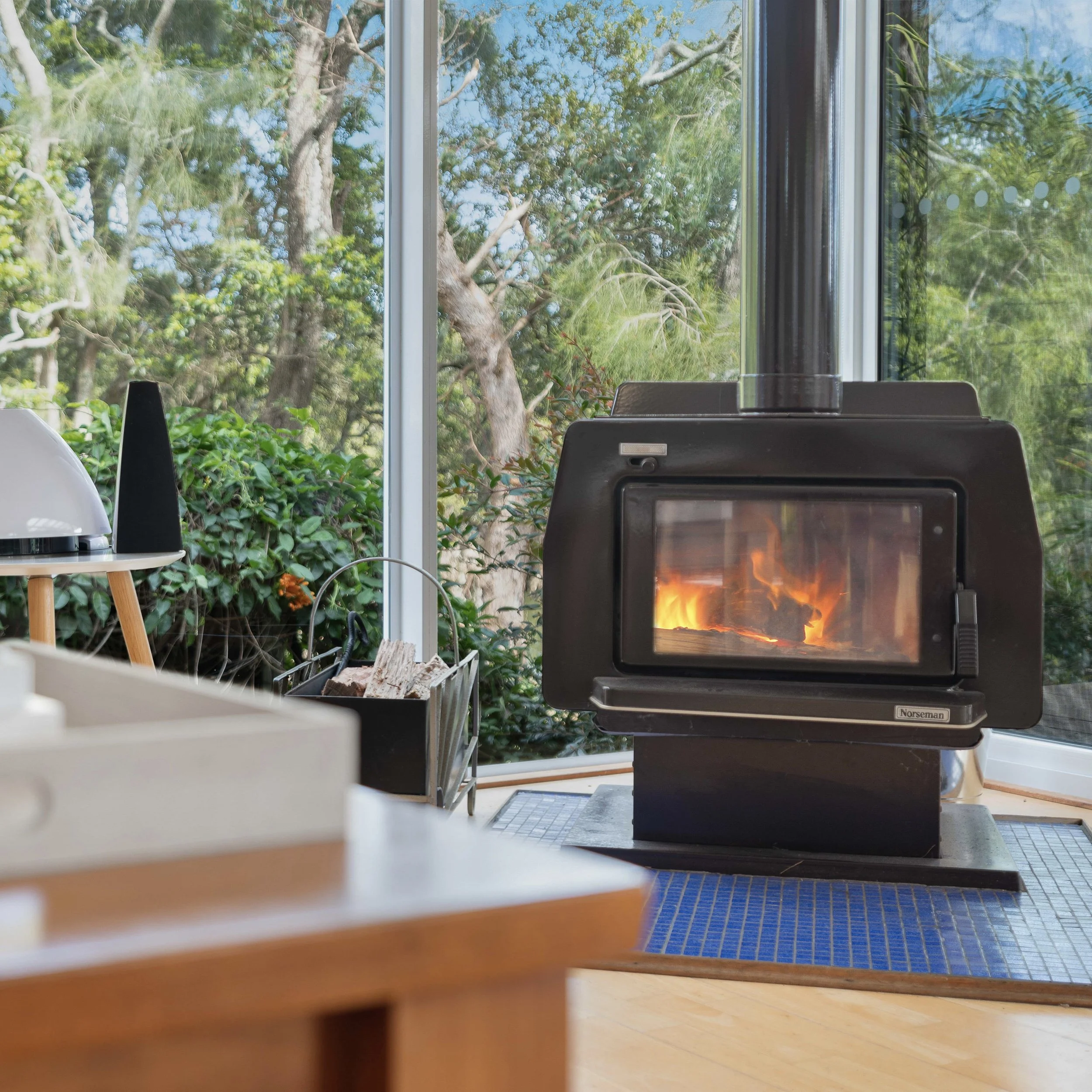 Interior view of a room looking out a window with trees outside, showing a cozy fire in a black Norseman stove, with furniture and plants inside.